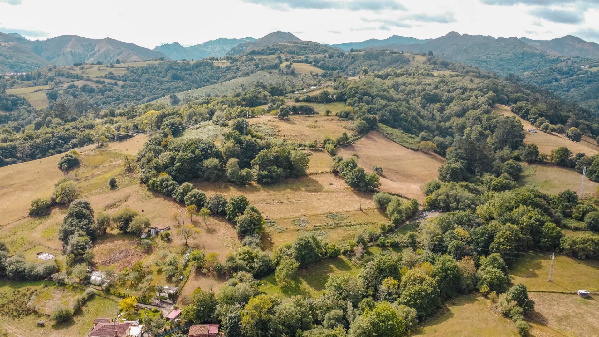 Casas o chalets-Venta-PiloÃ±a-1865026-Foto-54
