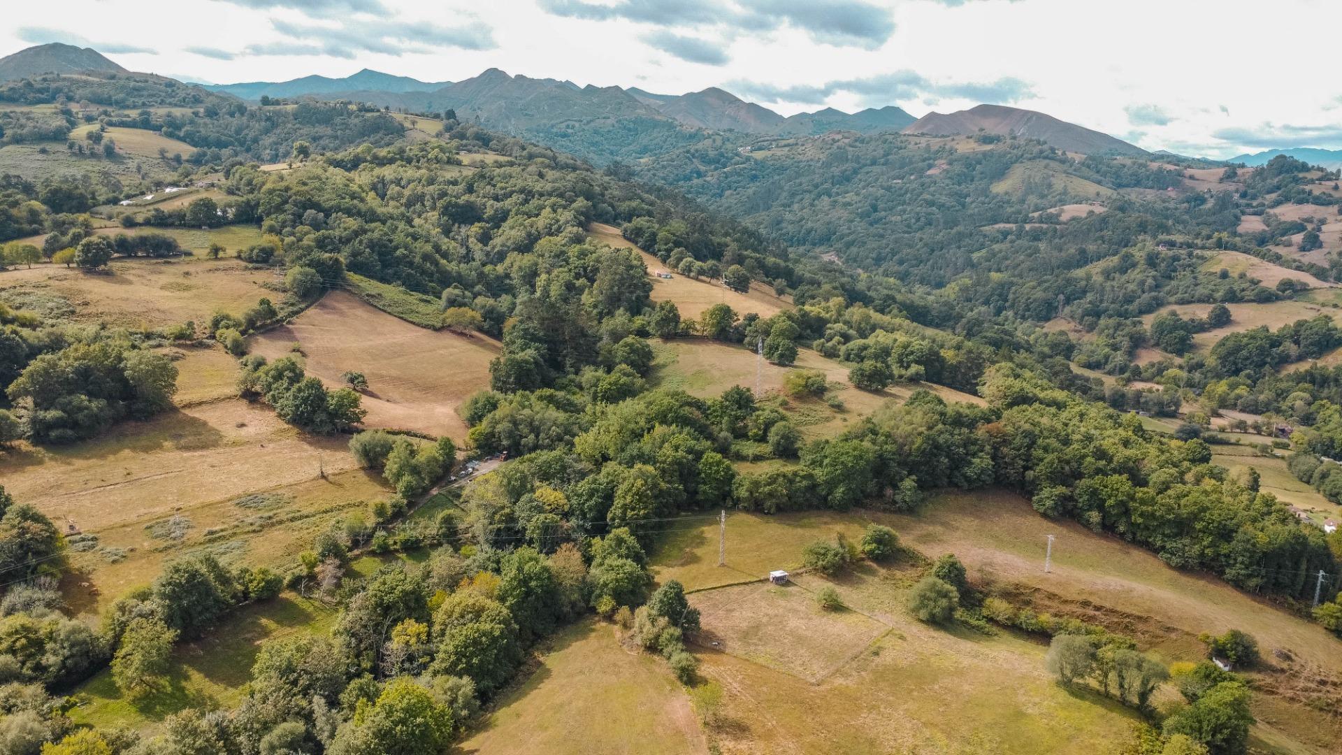 Casas o chalets-Venta-PiloÃ±a-1865026-Foto-55