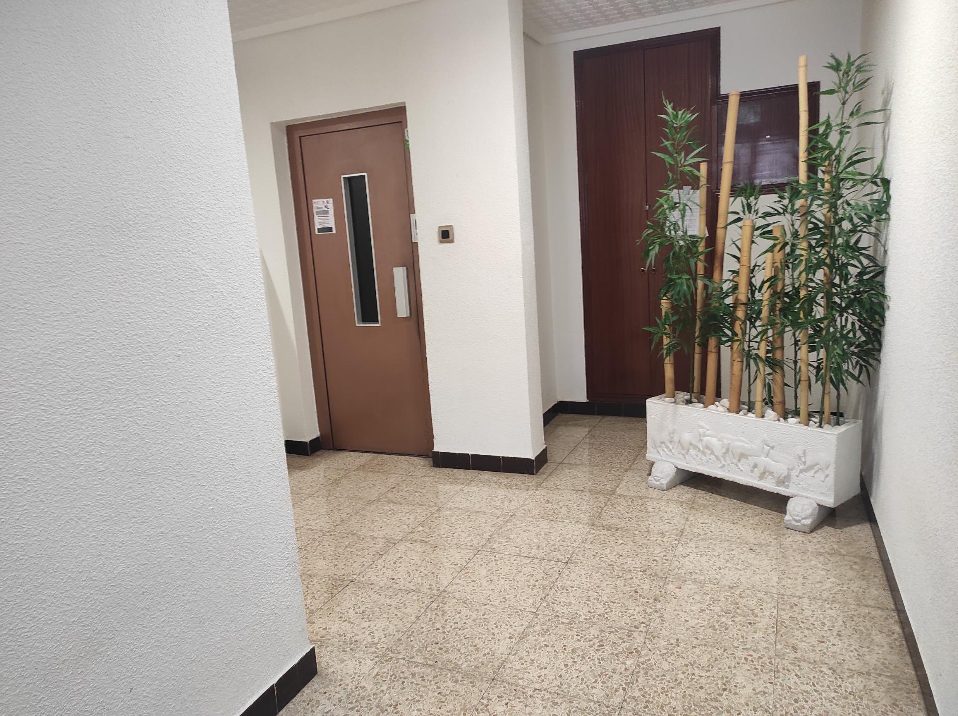 Pisos-Venta-Elche-1094251-Foto-13