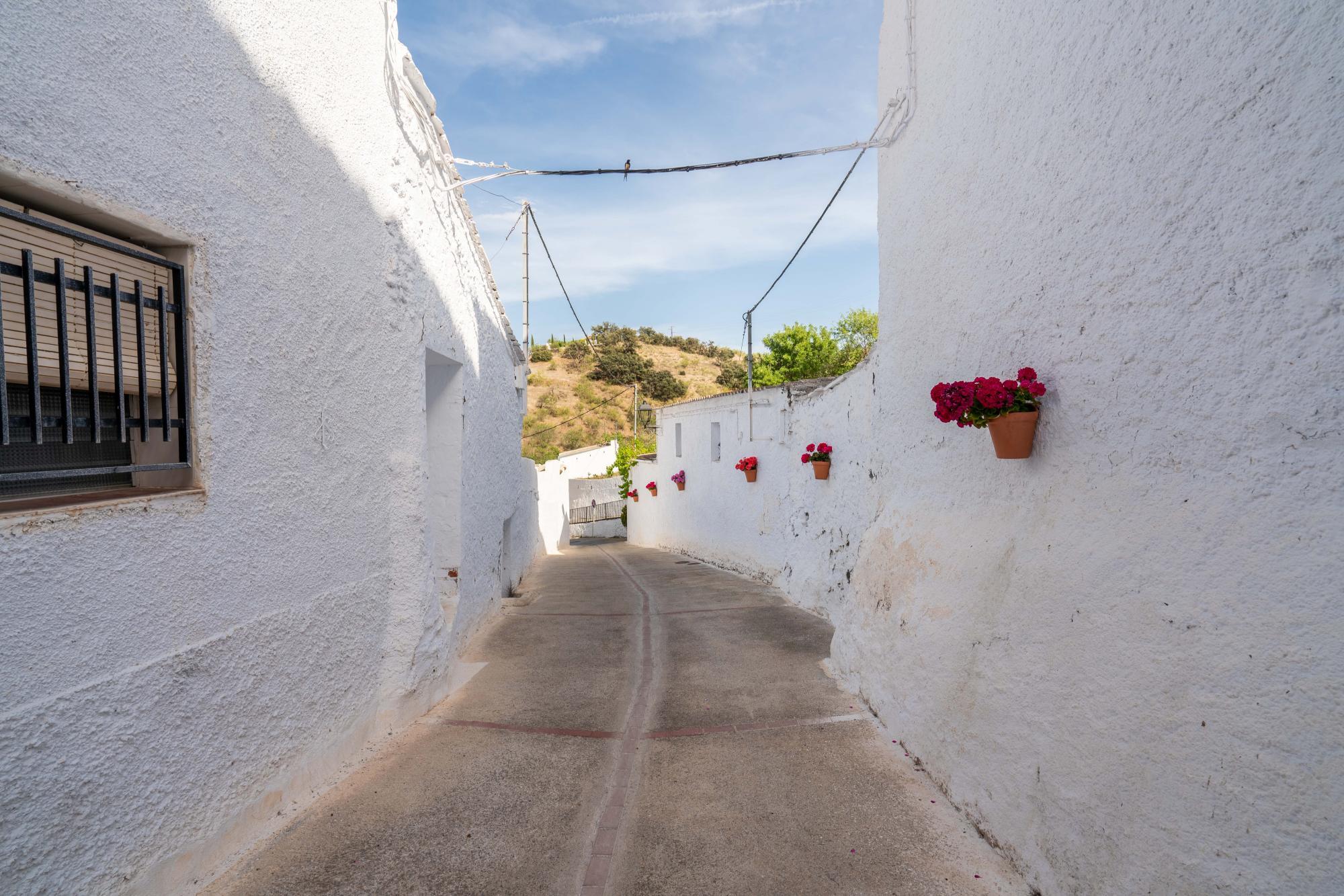 Casas o chalets-Venta-Alcudia de Monteagud-1865465