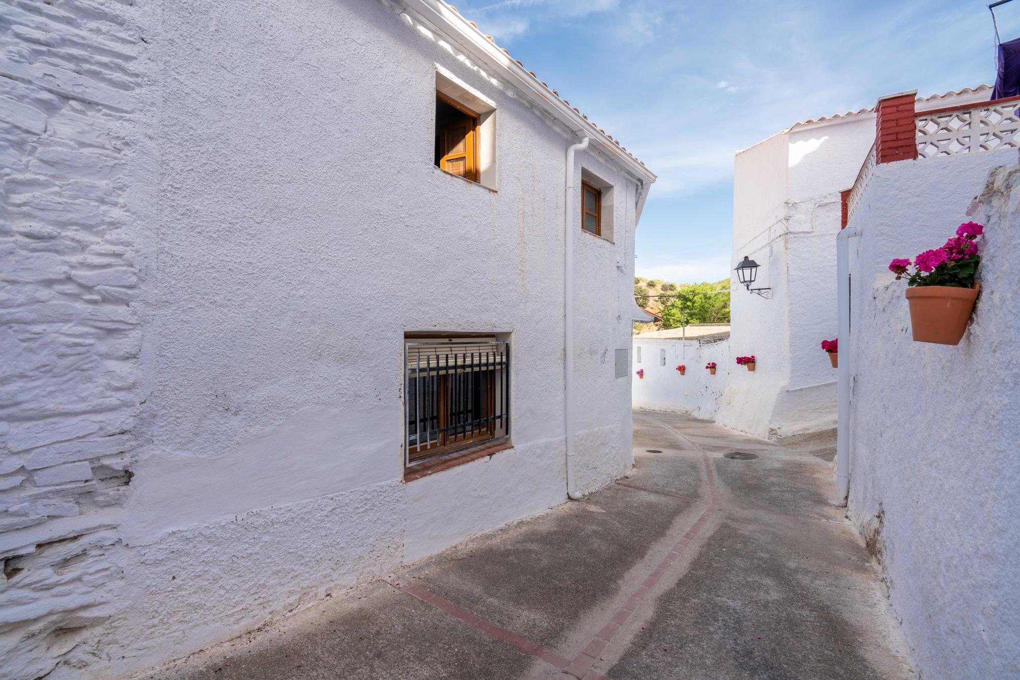 Casas o chalets-Venta-Alcudia de Monteagud-1865465-Foto-8