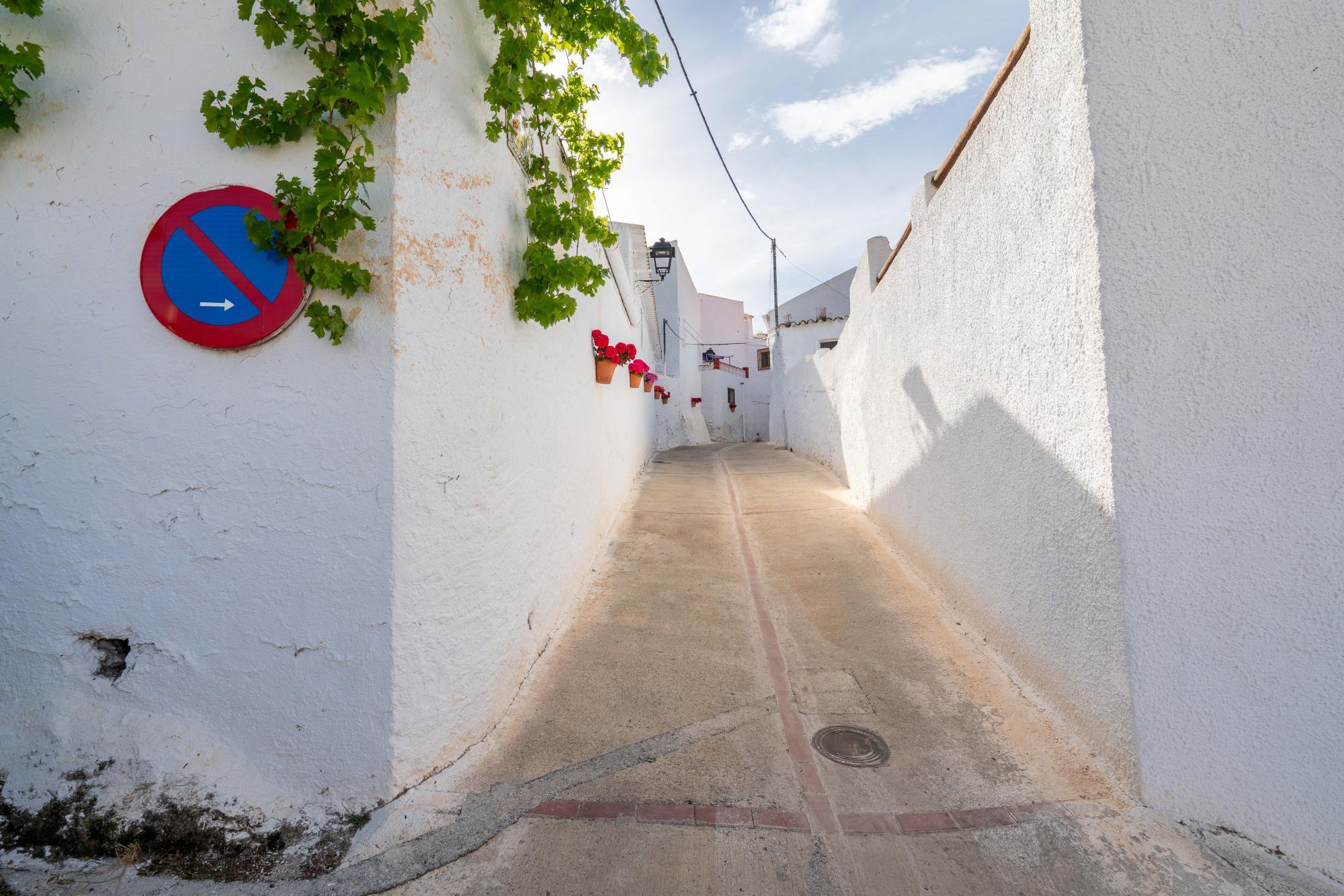 Casas o chalets-Venta-Alcudia de Monteagud-1865465-Foto-29