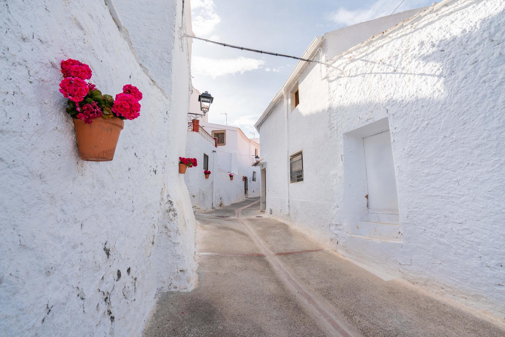 Casas o chalets-Venta-Alcudia de Monteagud-1865465-Foto-30