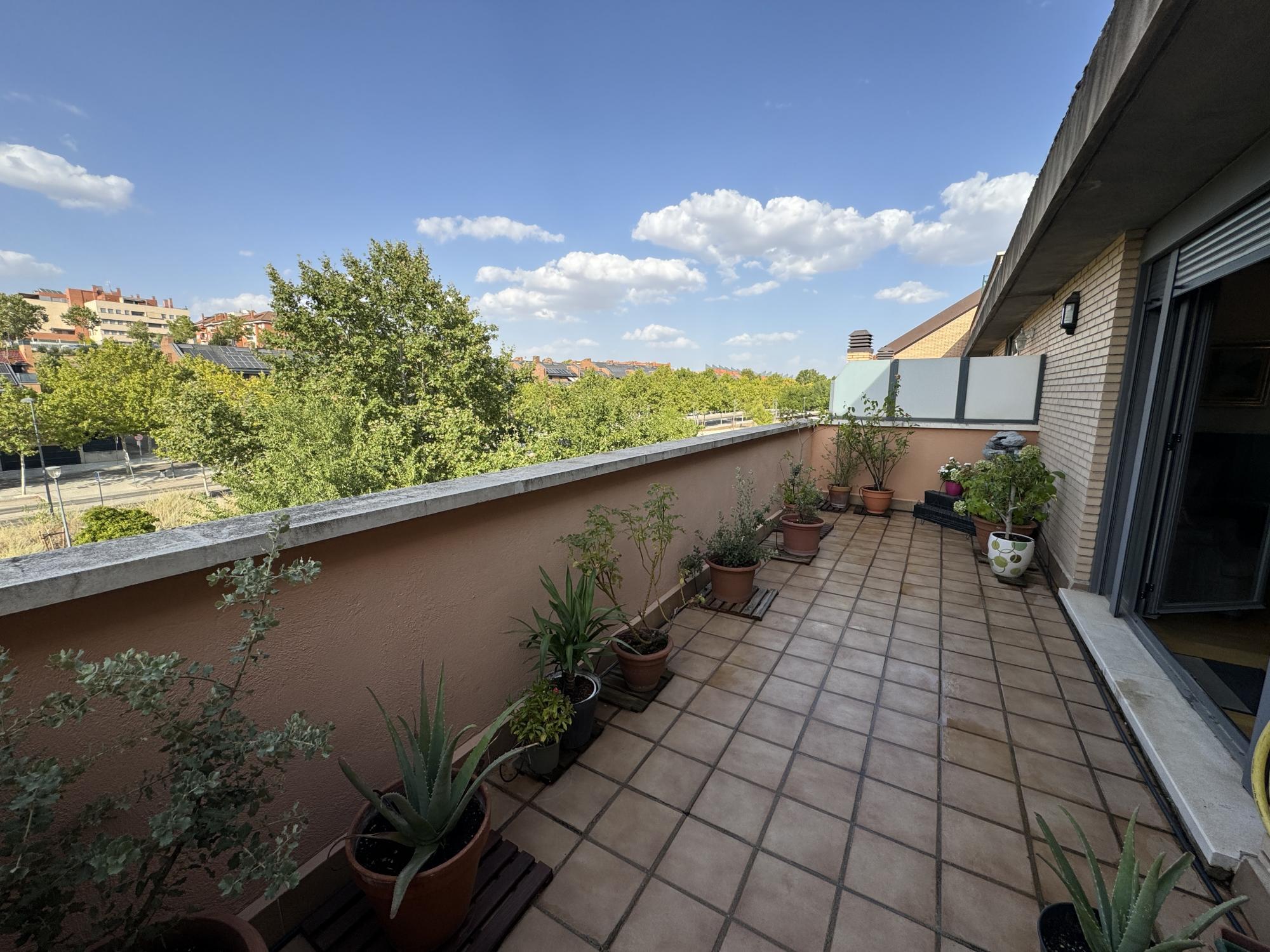 Pisos-Venta-Paracuellos de Jarama-1865489-Foto-13