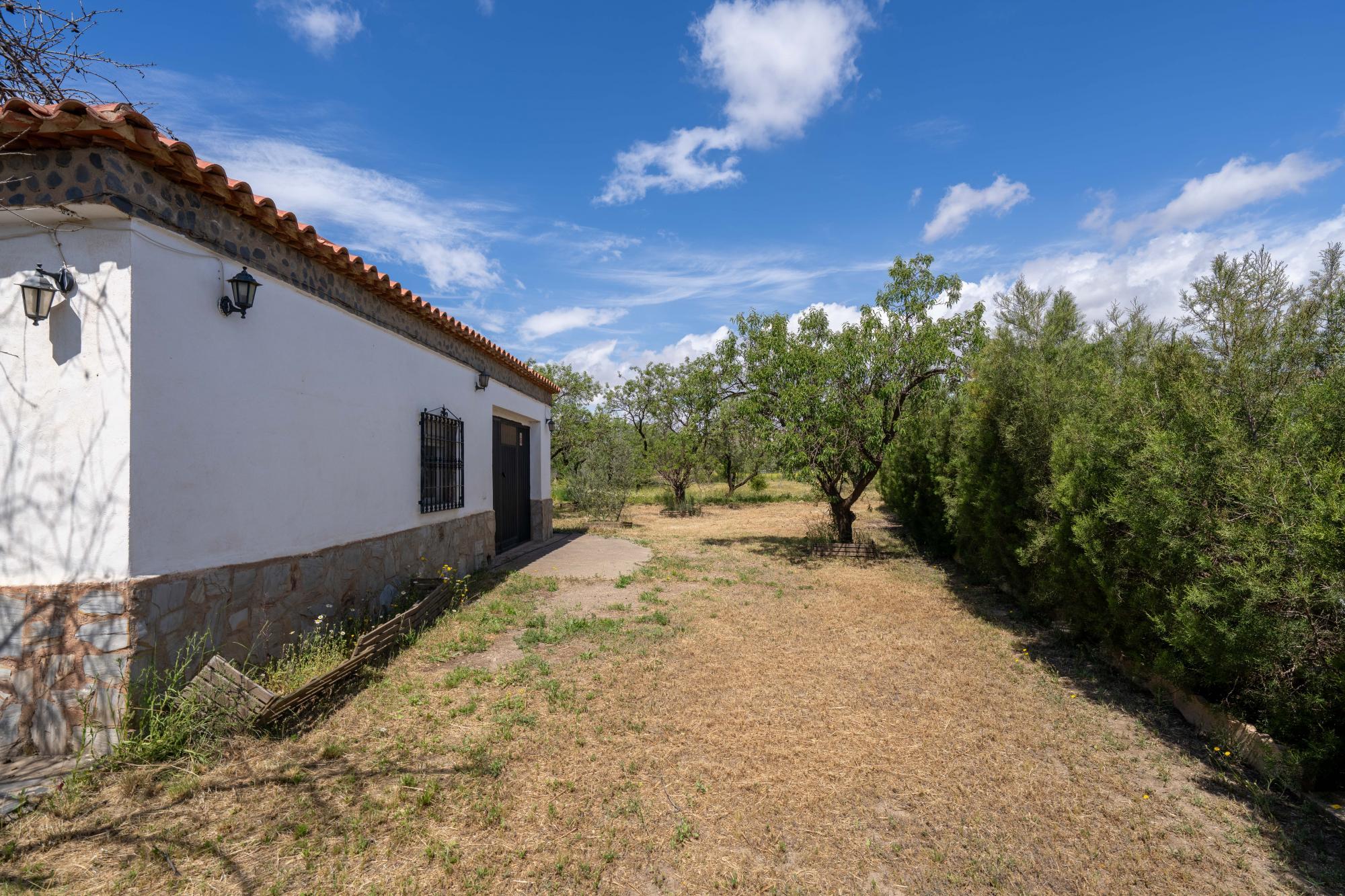 Pisos-Venta-FiÃ±ana-1865540-Foto-9