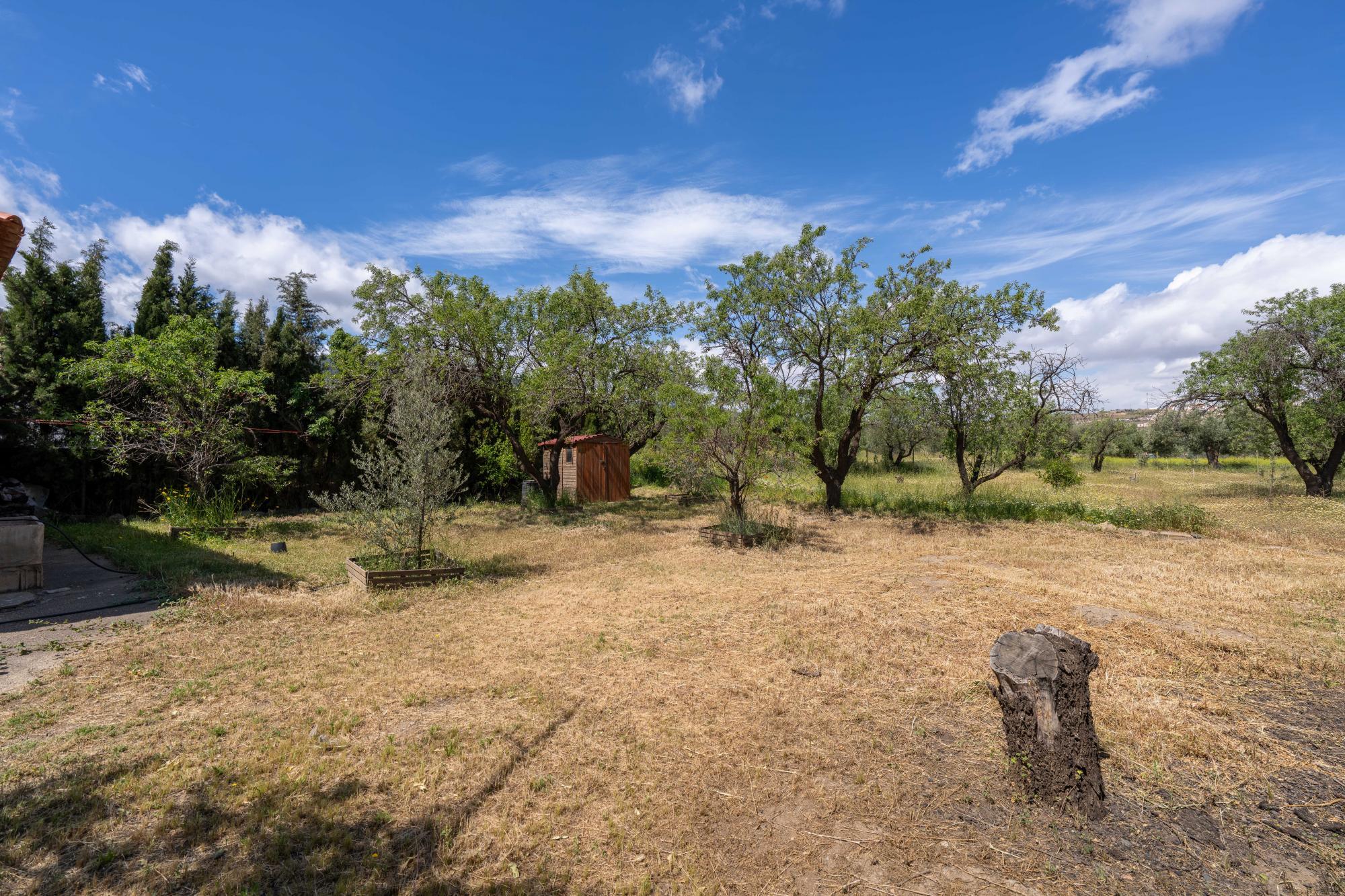 Pisos-Venta-FiÃ±ana-1865540-Foto-10