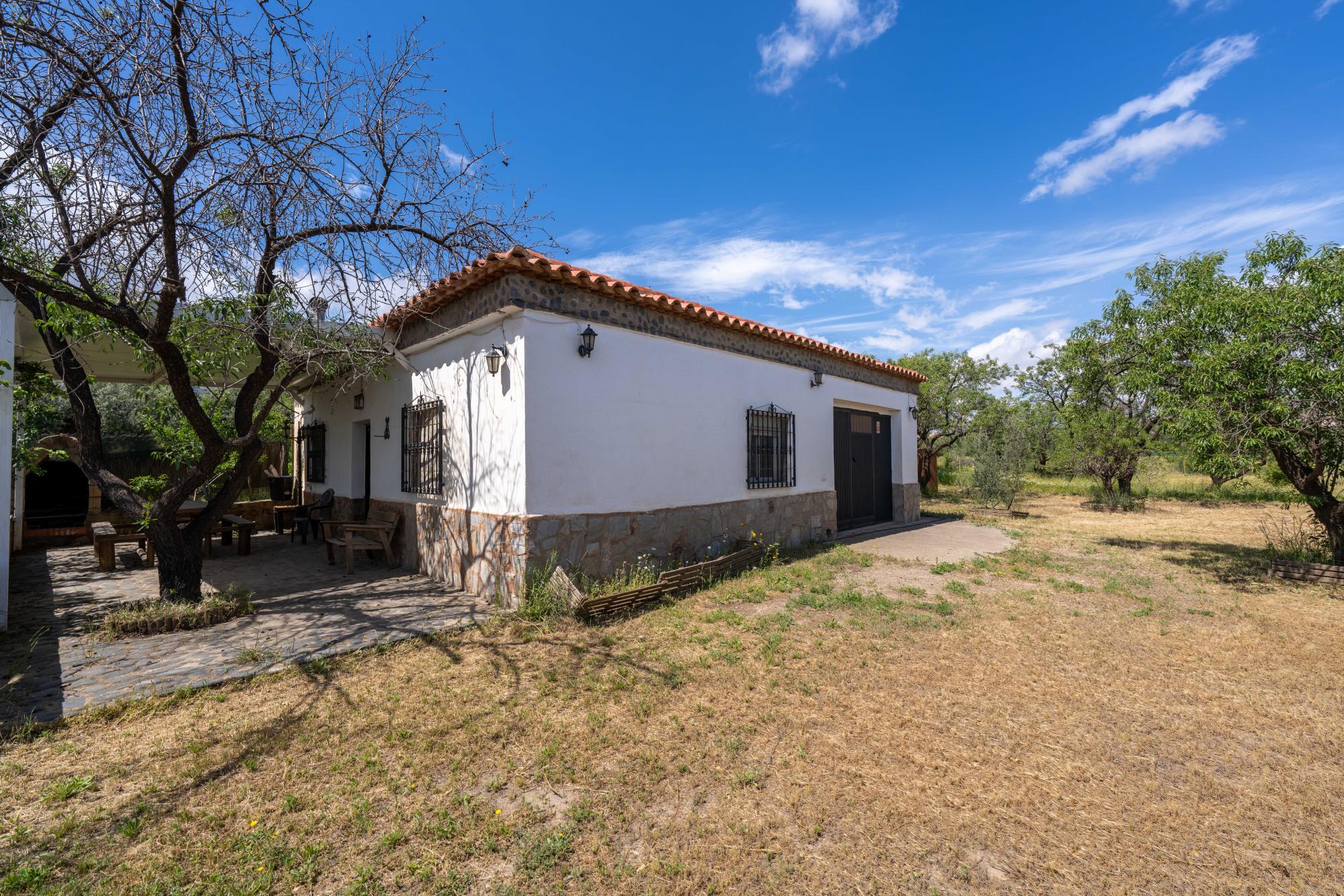 Pisos-Venta-FiÃ±ana-1865540-Foto-3