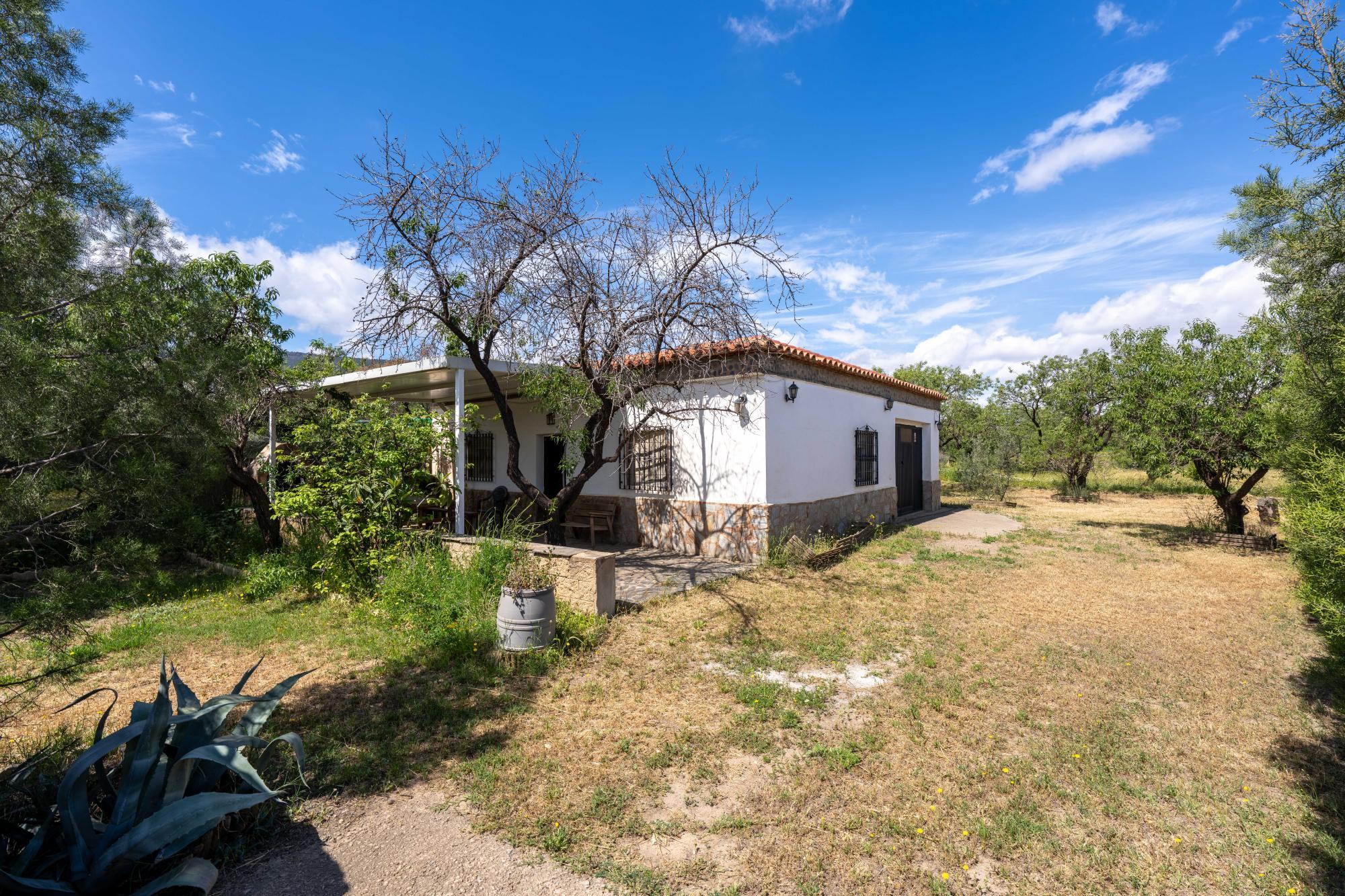 Pisos-Venta-FiÃ±ana-1865540-Foto-2