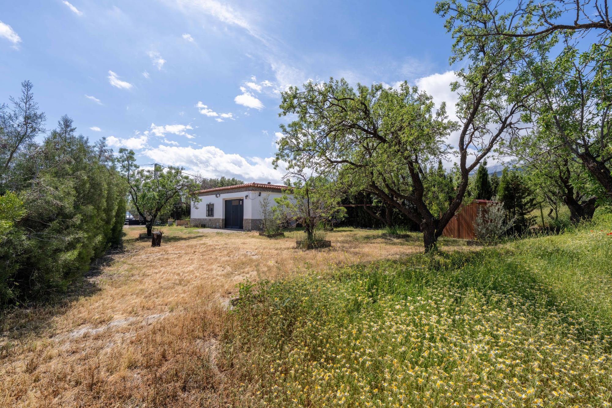 Pisos-Venta-FiÃ±ana-1865540-Foto-13