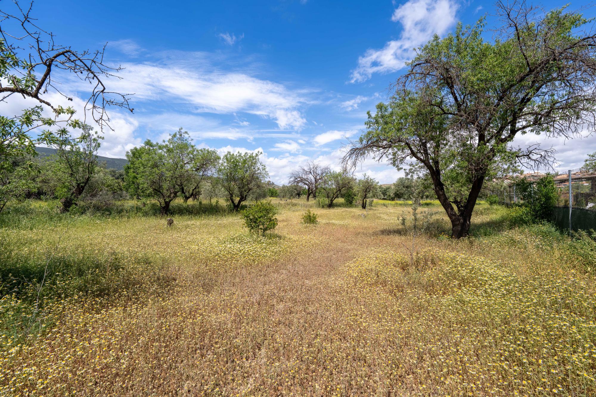 Pisos-Venta-FiÃ±ana-1865540-Foto-12