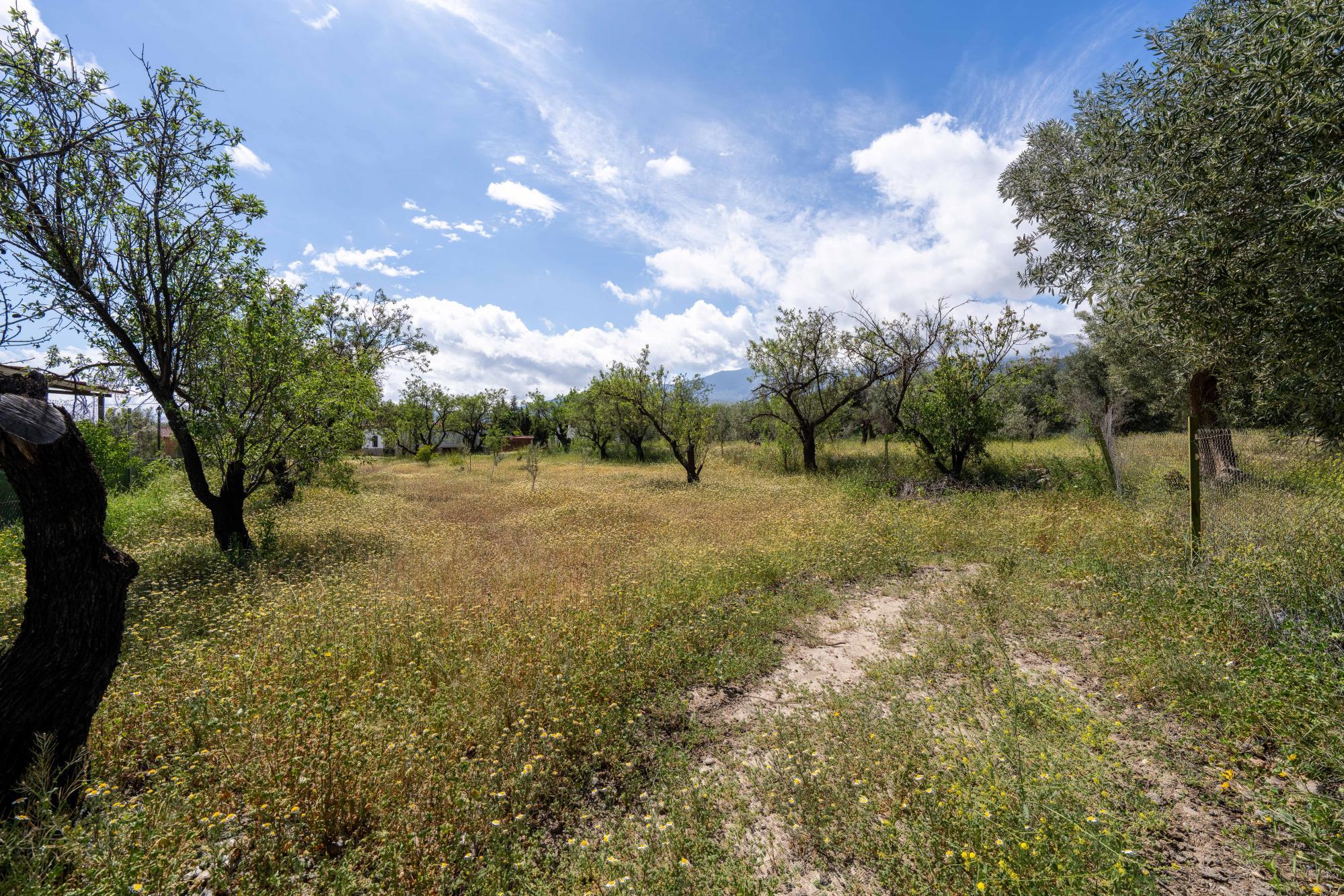 Pisos-Venta-FiÃ±ana-1865540-Foto-14