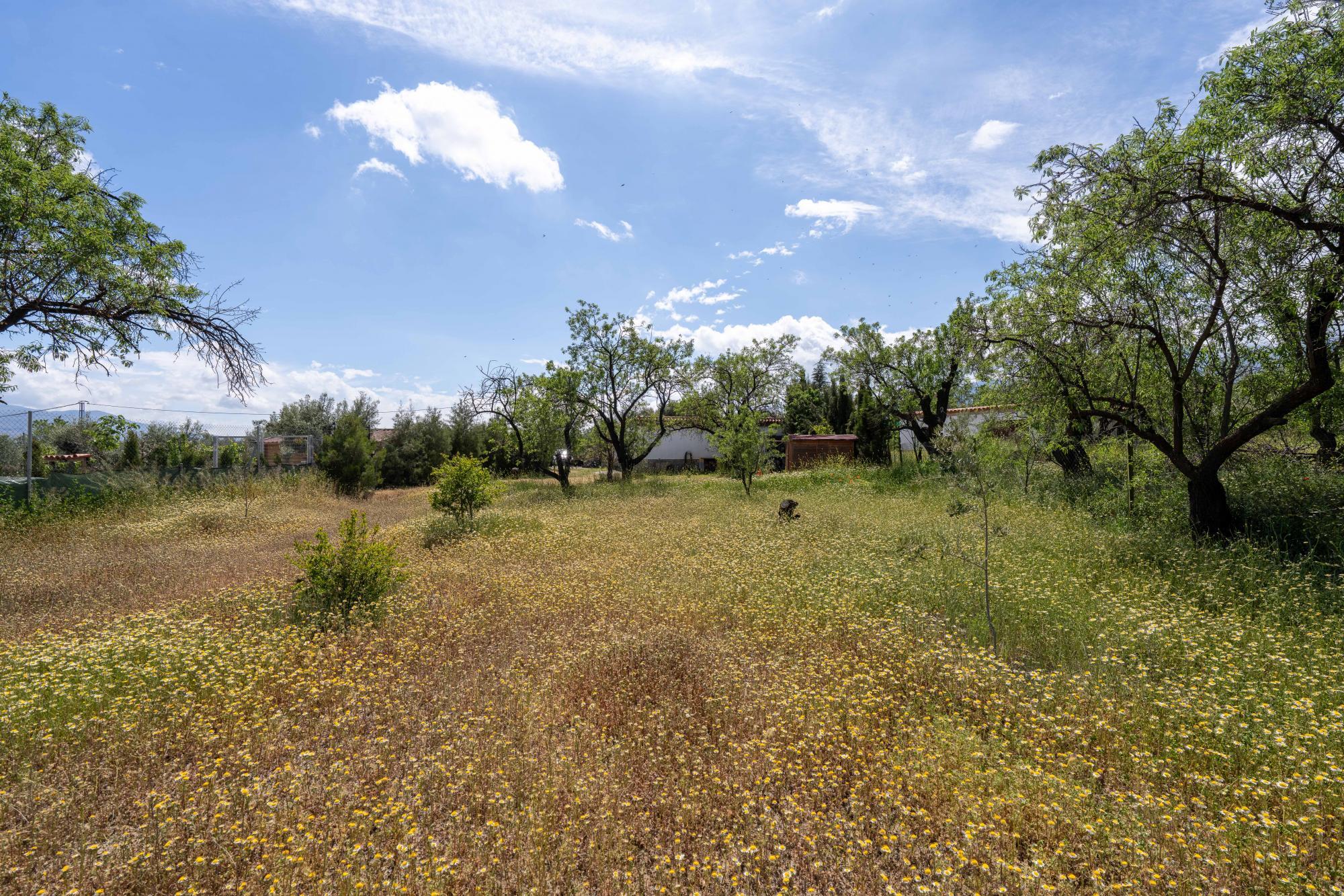 Pisos-Venta-FiÃ±ana-1865540-Foto-17