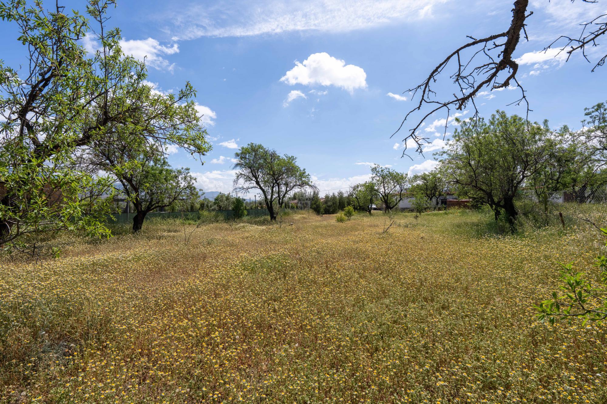 Pisos-Venta-FiÃ±ana-1865540-Foto-16