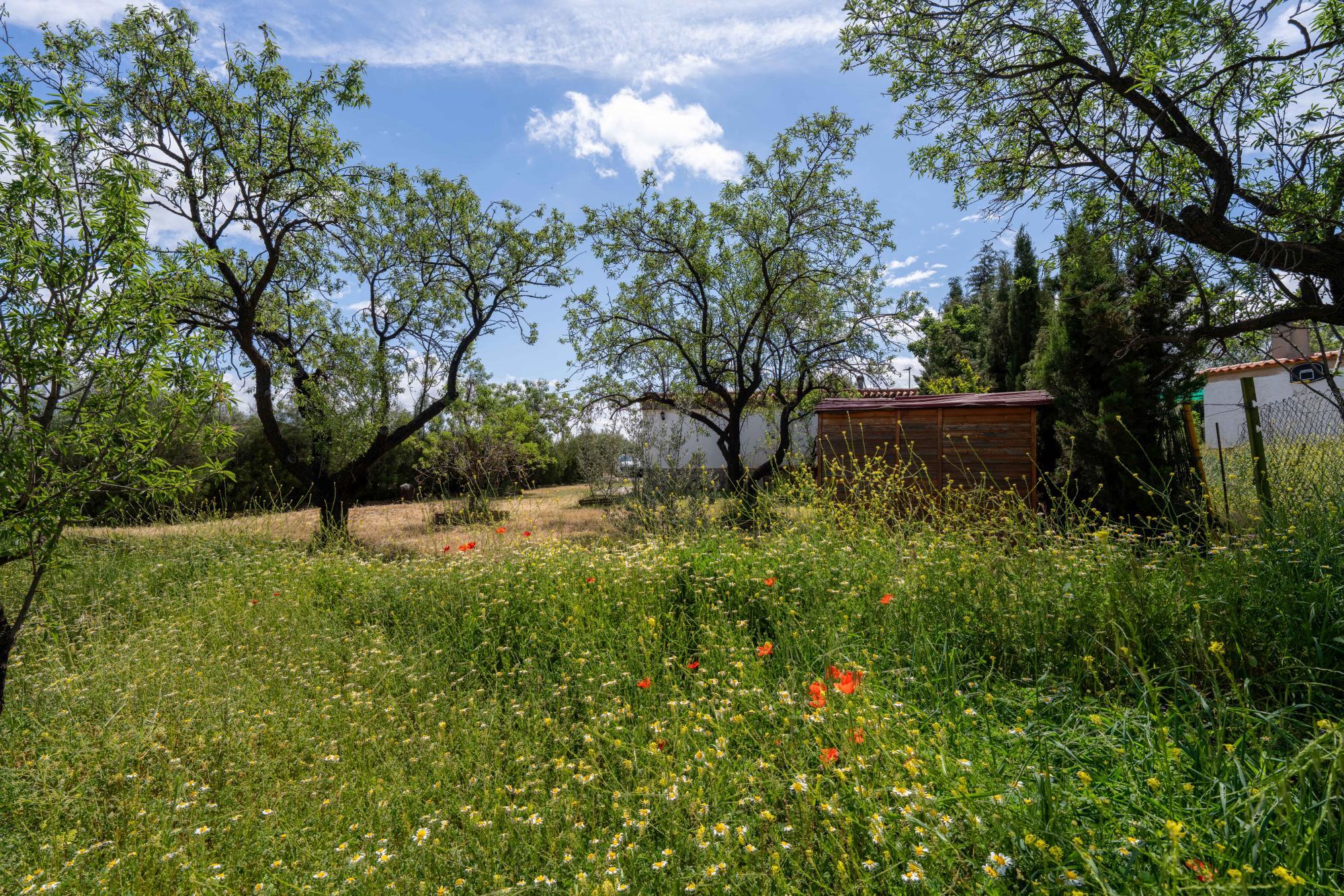 Pisos-Venta-FiÃ±ana-1865540-Foto-18