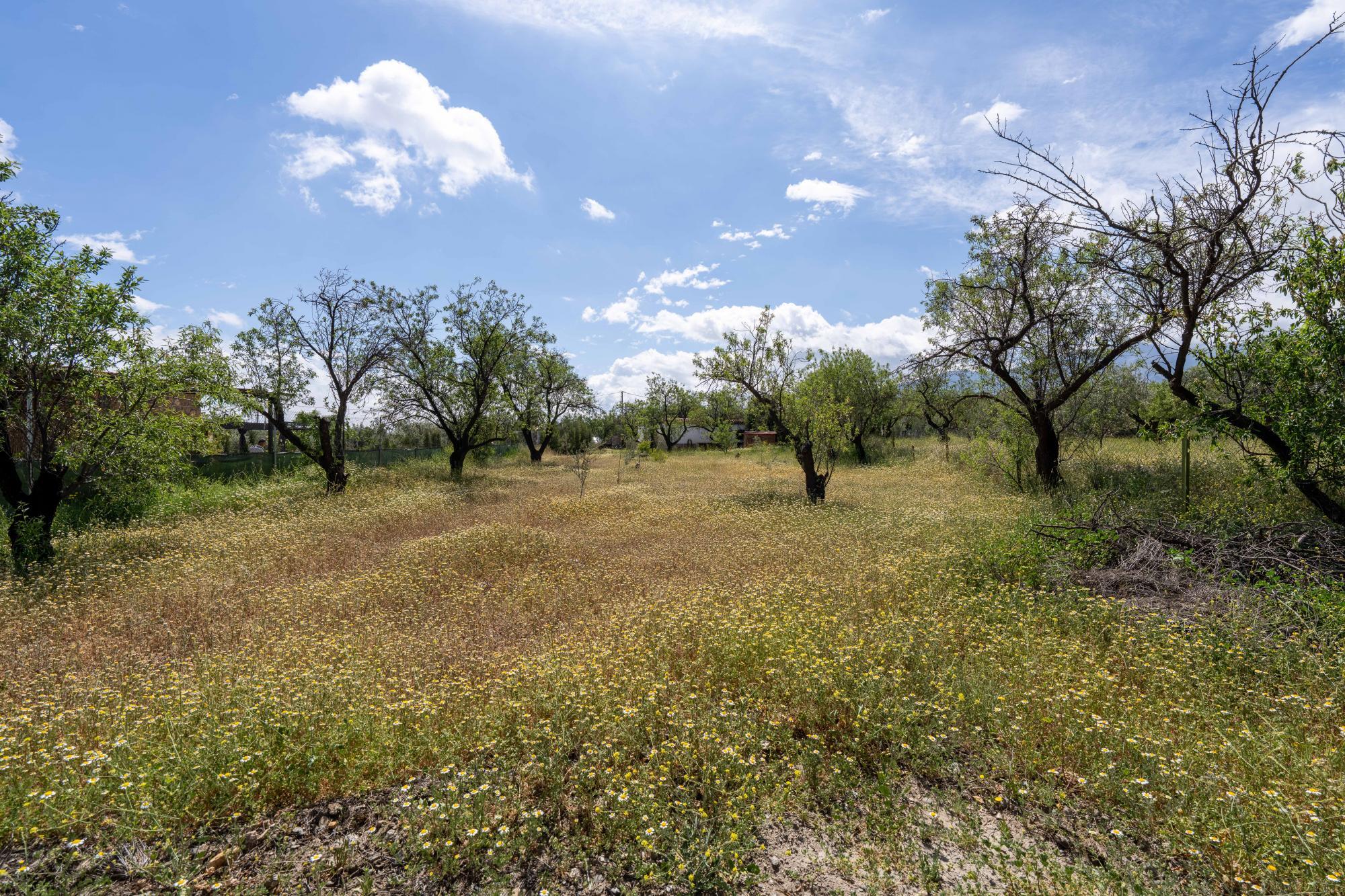 Pisos-Venta-FiÃ±ana-1865540-Foto-15