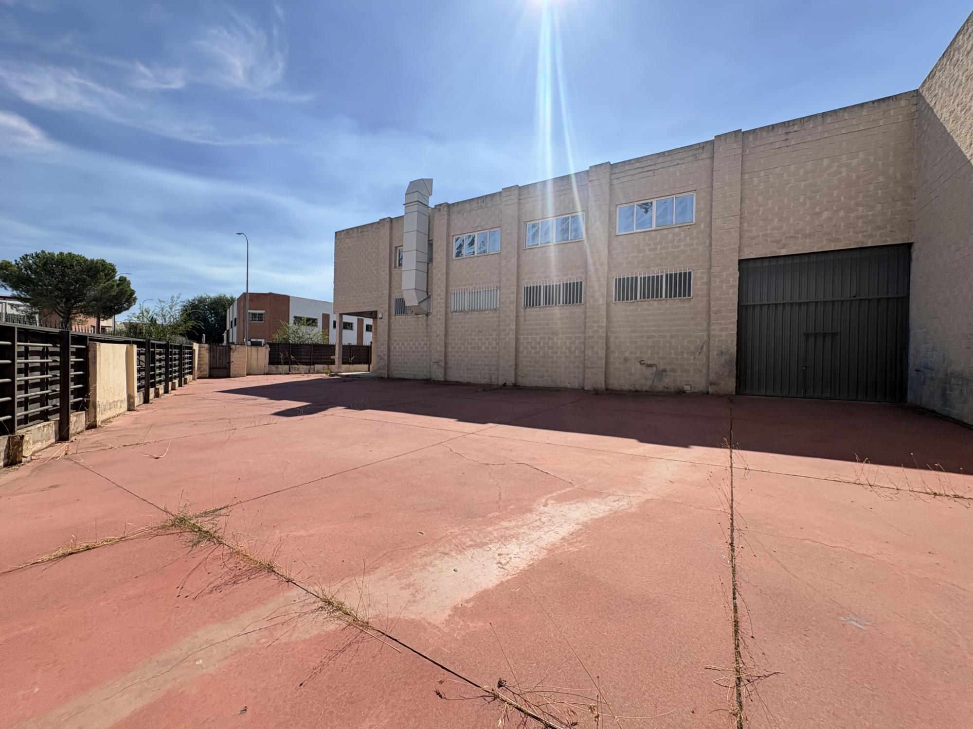 Naves-Venta-Torres de la Alameda-1865591-Foto-32