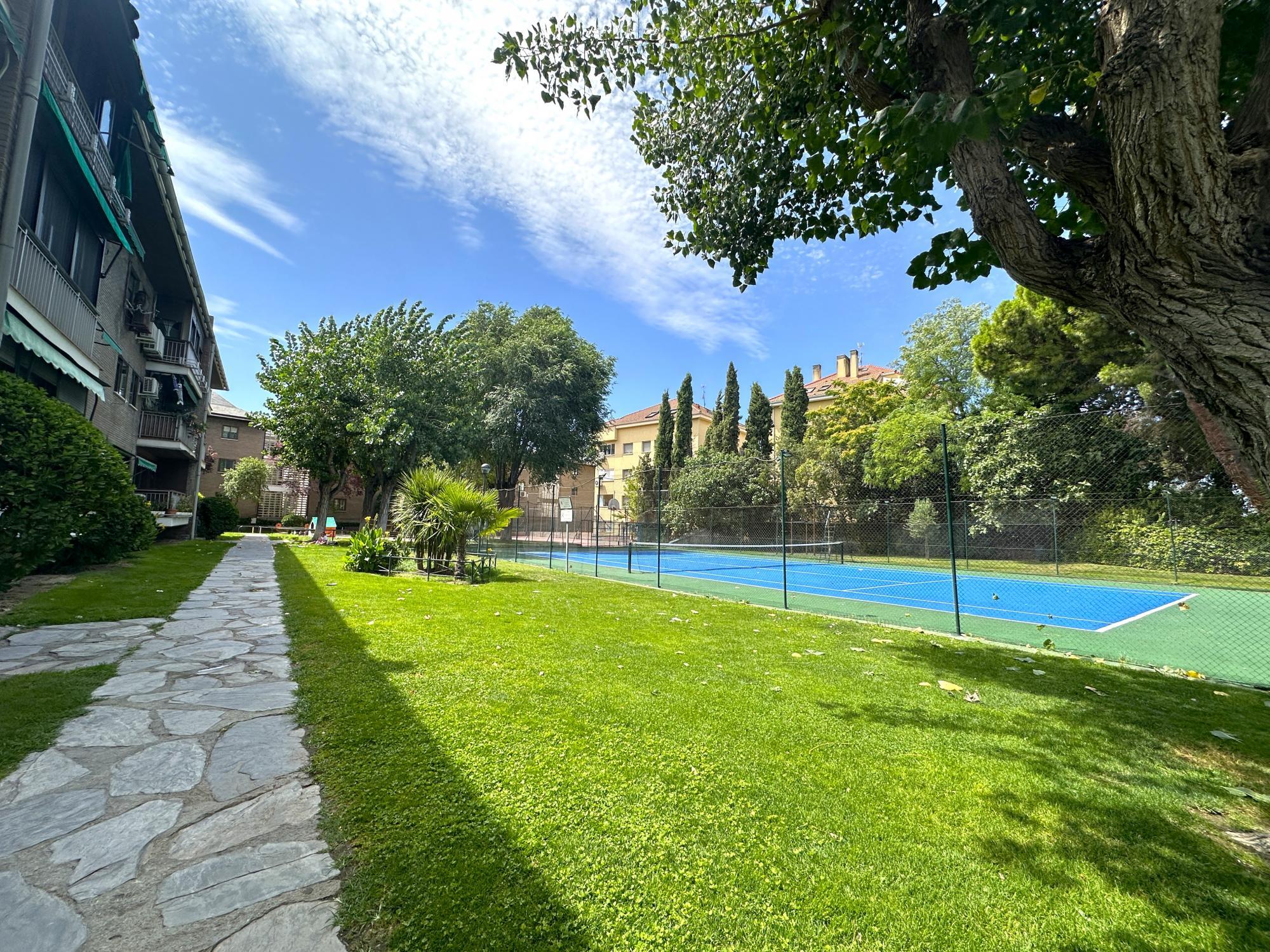 Pisos-Venta-Madrid-1865603-Foto-3
