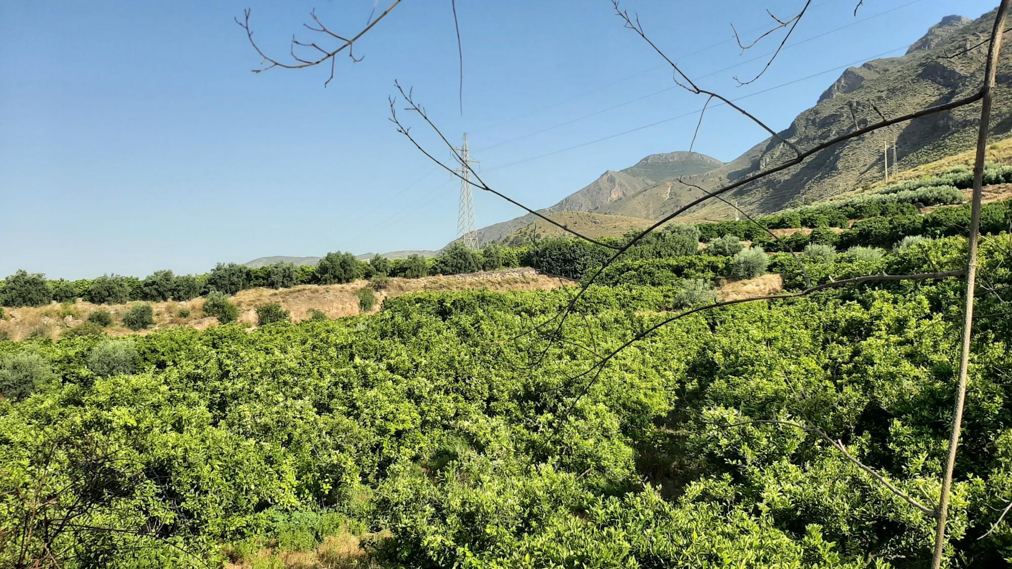 Pisos-Venta-AlmerÃ­a-1865633-Foto-2