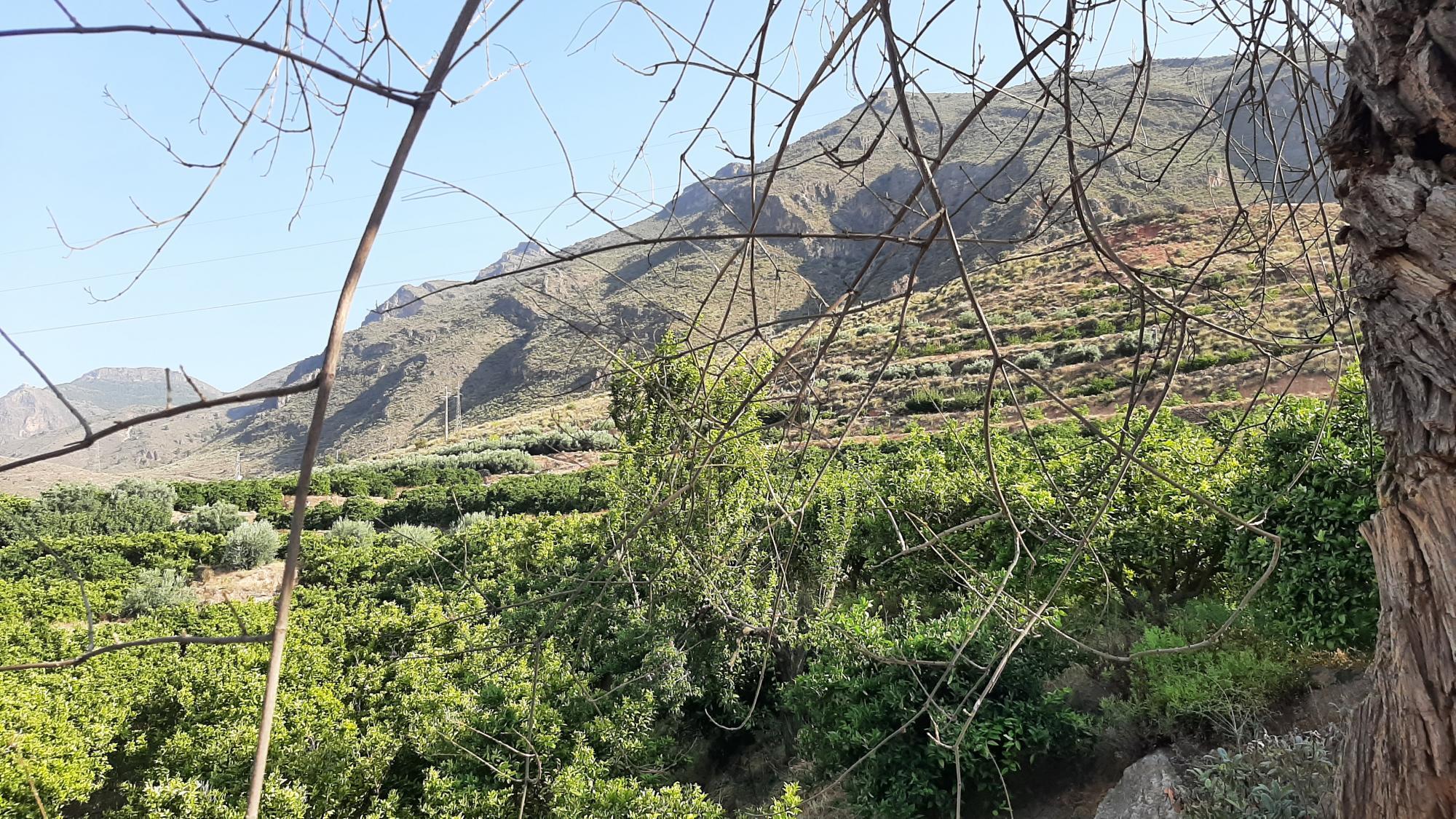 Pisos-Venta-AlmerÃ­a-1865633-Foto-3