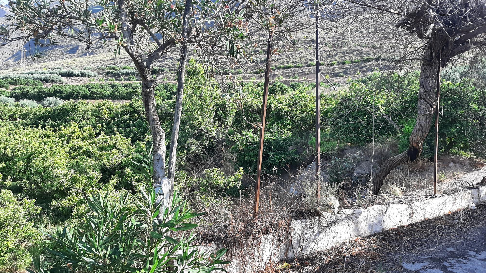 Pisos-Venta-AlmerÃ­a-1865633-Foto-5