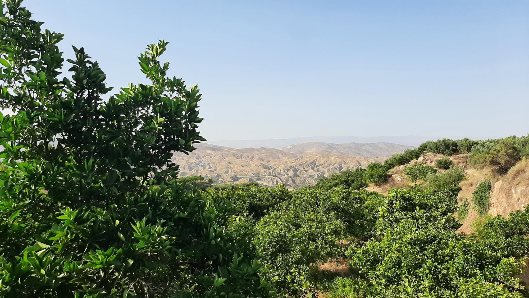 Pisos-Venta-AlmerÃ­a-1865633-Foto-7
