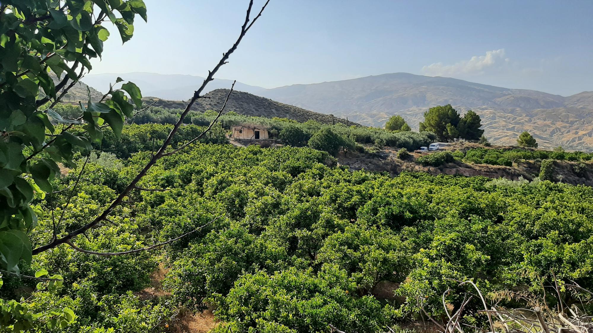 Pisos-Venta-AlmerÃ­a-1865633-Foto-10