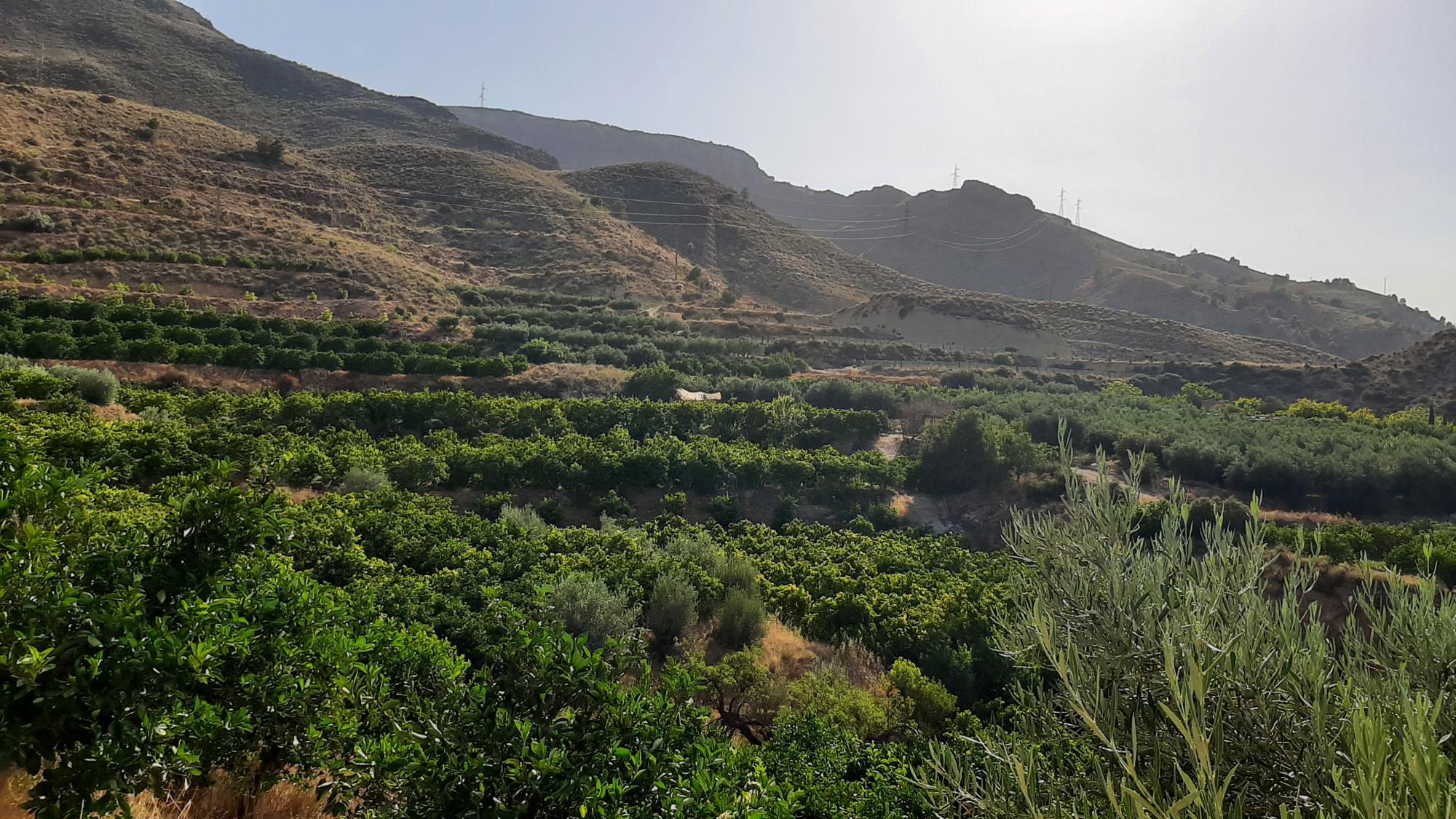 Pisos-Venta-AlmerÃ­a-1865633-Foto-15