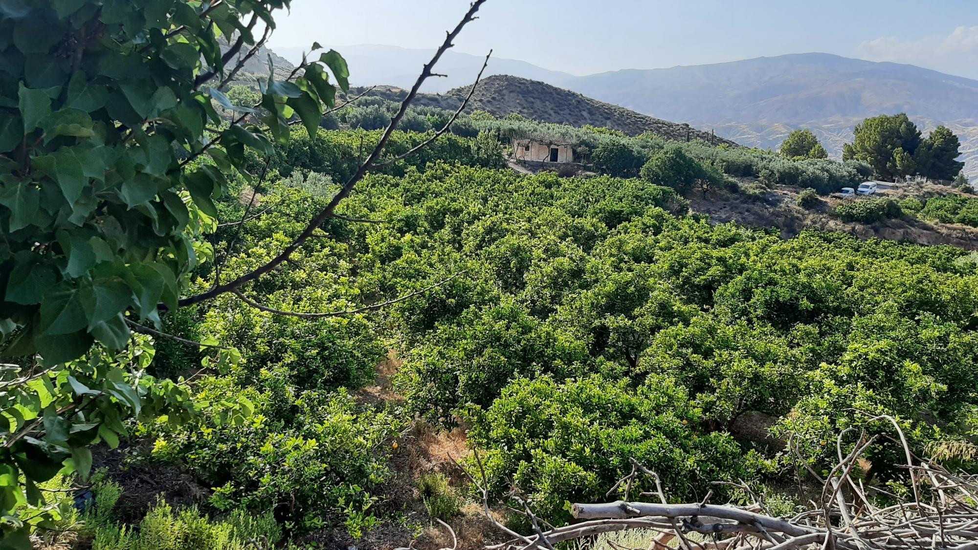 Pisos-Venta-AlmerÃ­a-1865633-Foto-13