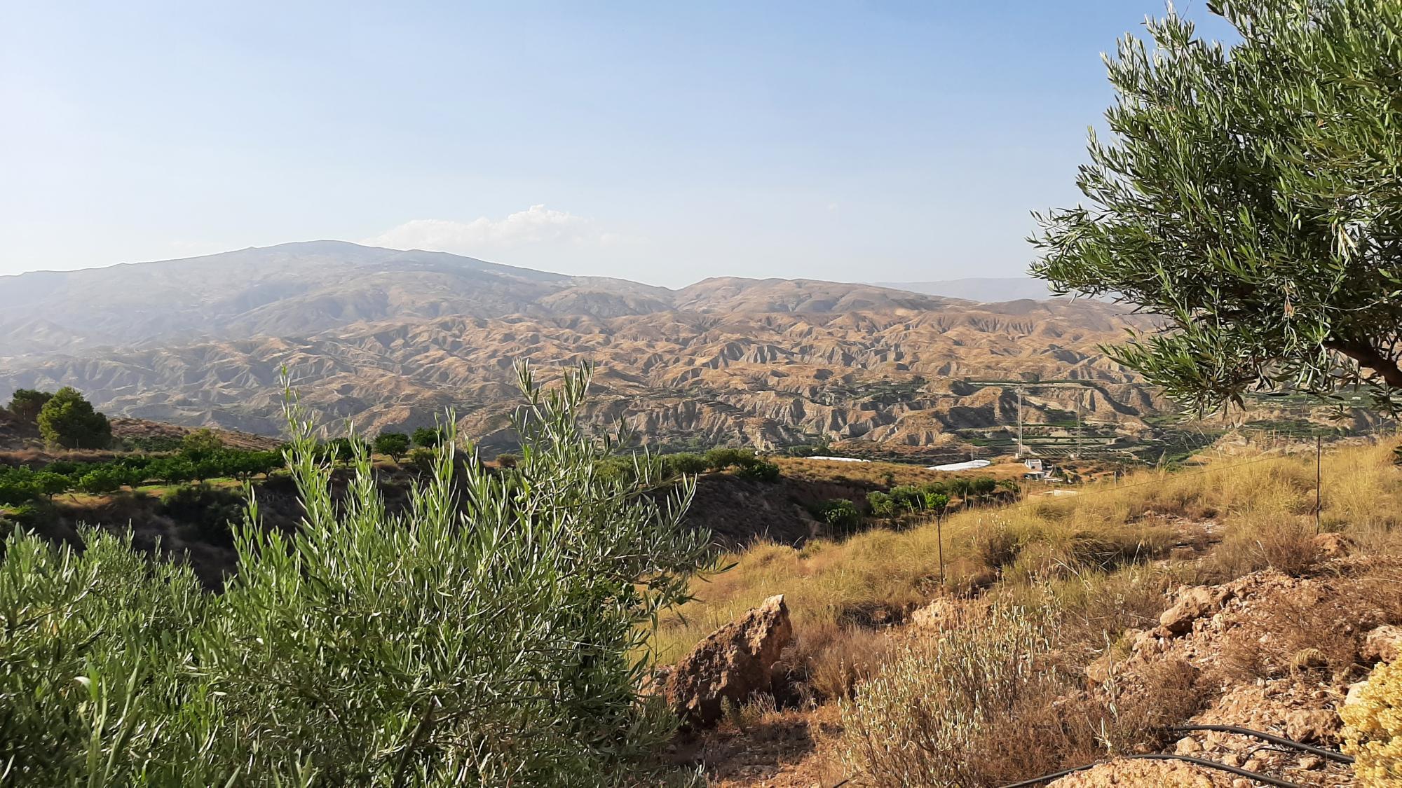Pisos-Venta-AlmerÃ­a-1865633-Foto-16