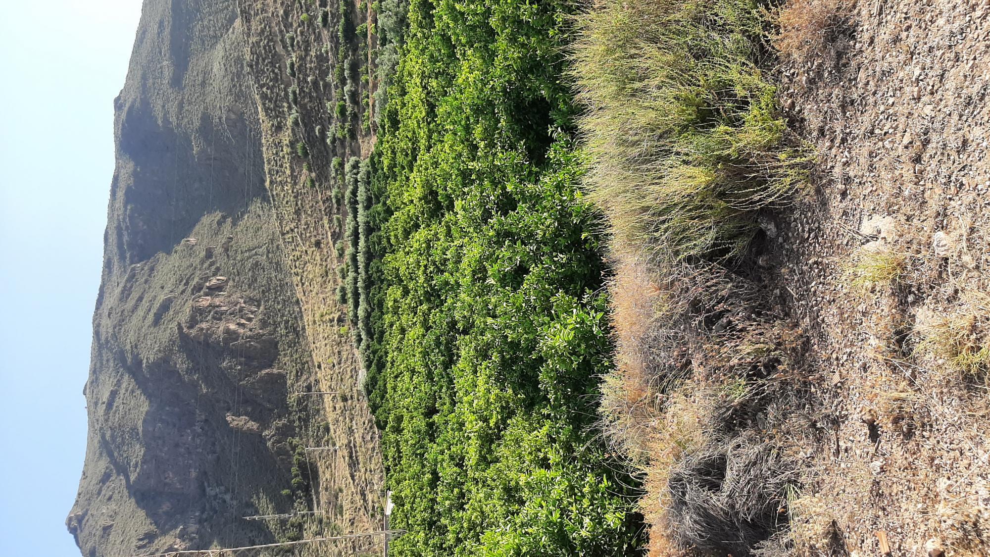 Pisos-Venta-AlmerÃ­a-1865633-Foto-17