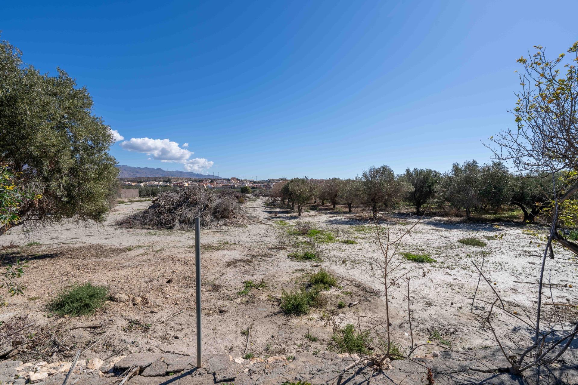 Casas o chalets-Venta-HuÃ©rcal de AlmerÃ­a-1865675-Foto-10
