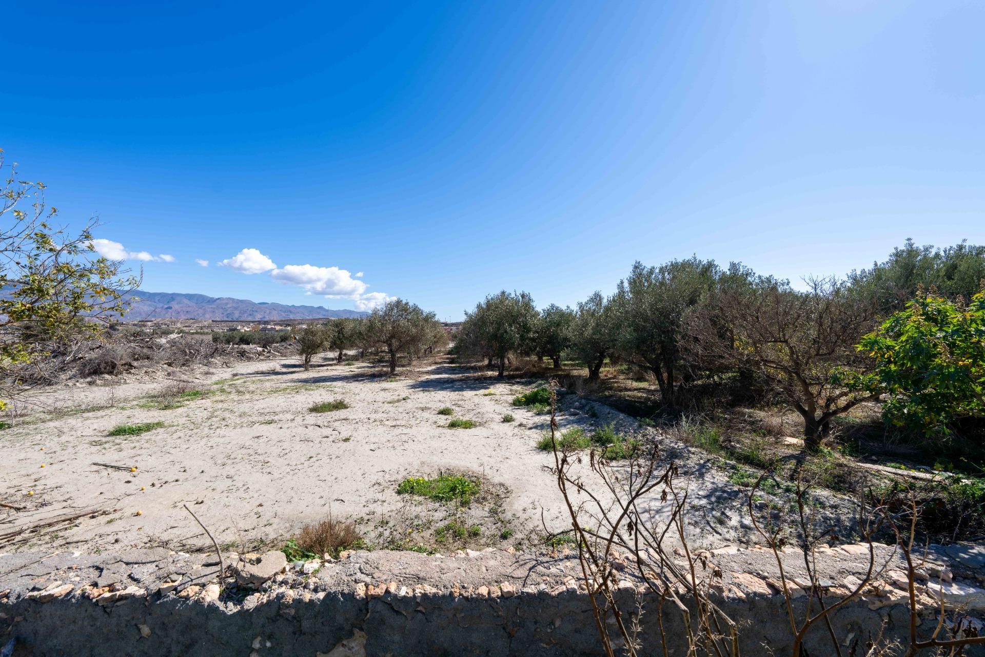 Casas o chalets-Venta-HuÃ©rcal de AlmerÃ­a-1865675-Foto-11
