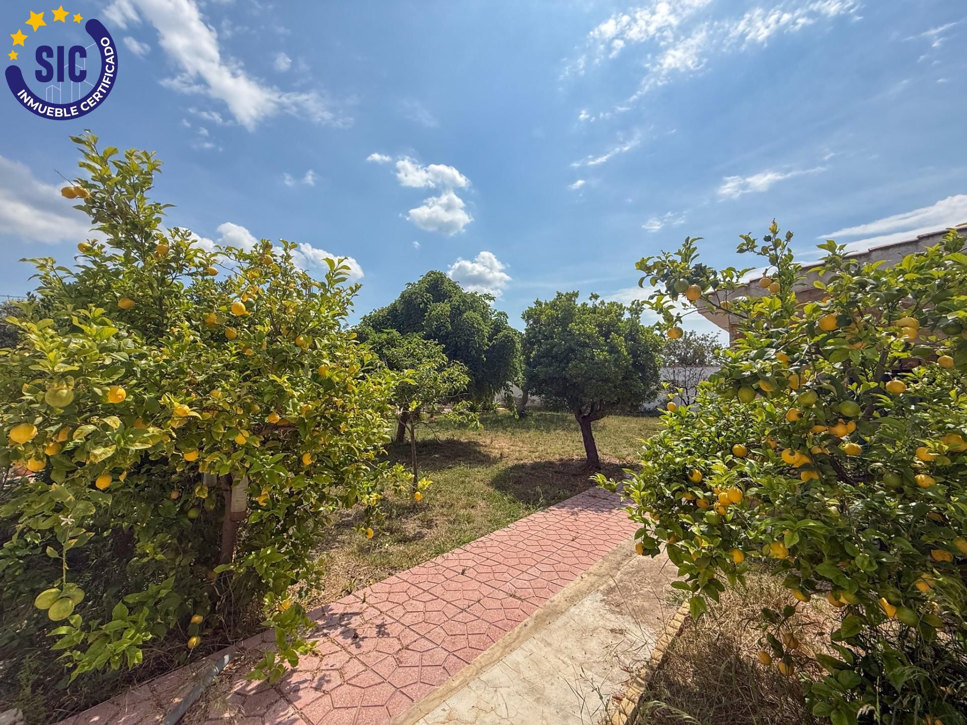 Casas o chalets-Venta-Olocau-1866005-Foto-16
