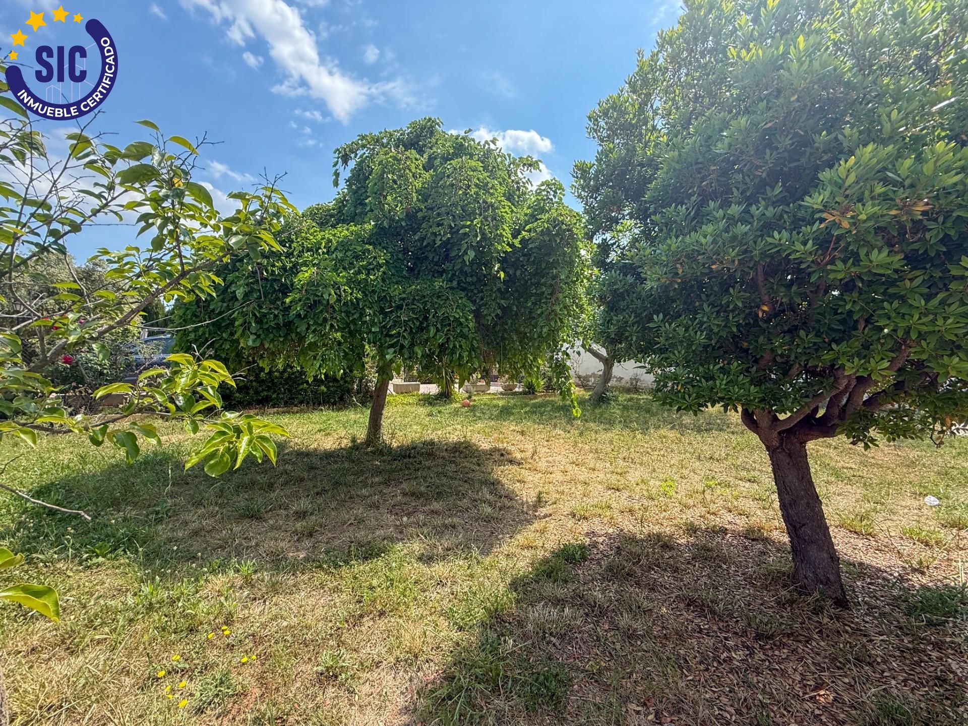 Casas o chalets-Venta-Olocau-1866005-Foto-18
