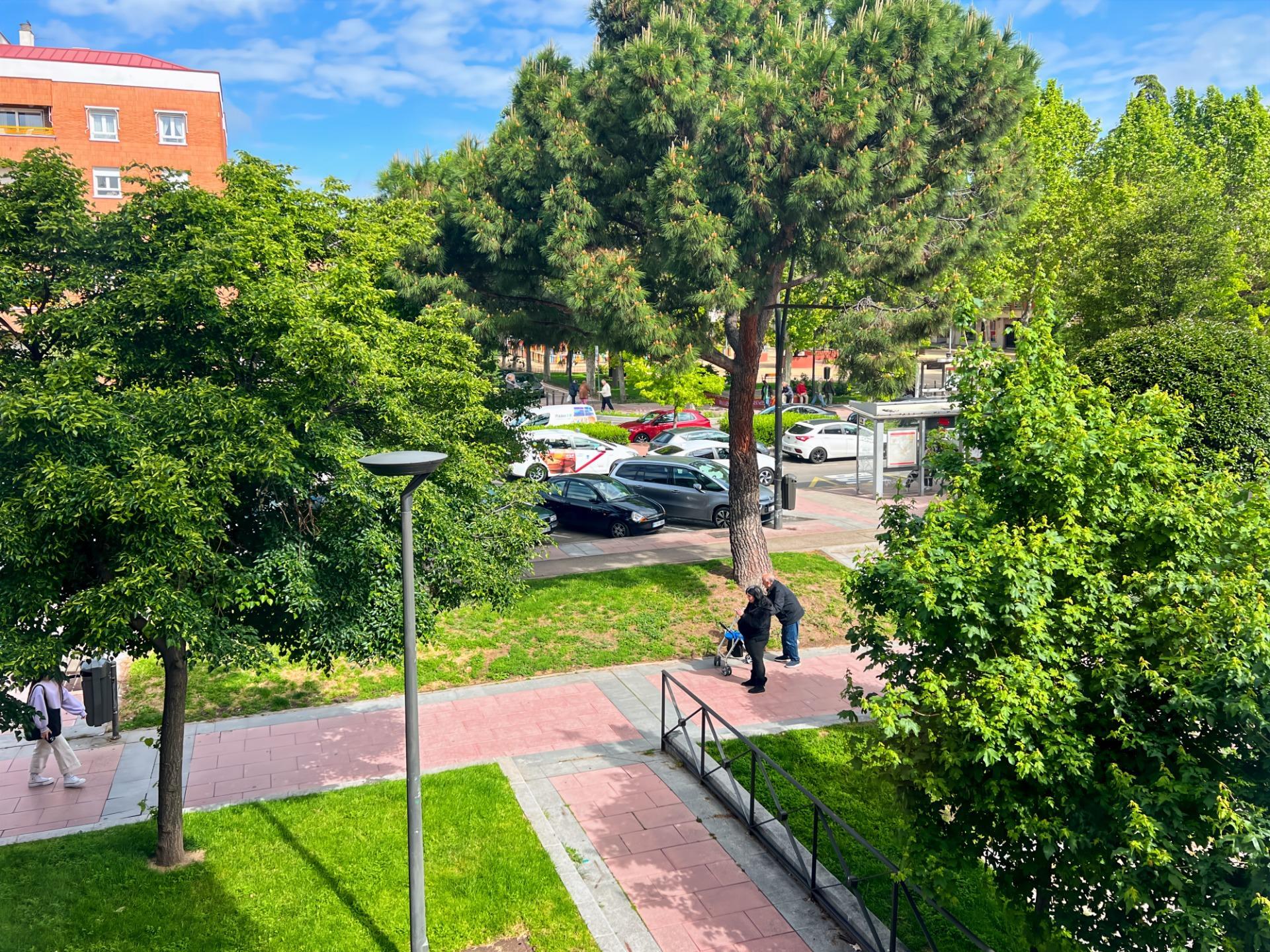 Pisos-Venta-Getafe-1866029-Foto-14