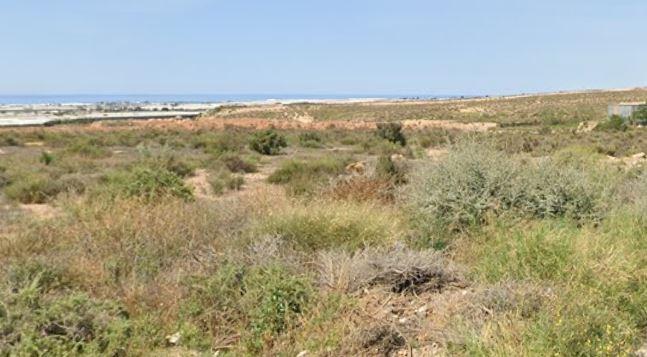 Fincas y solares-Venta-Viator-1866053-Foto-5
