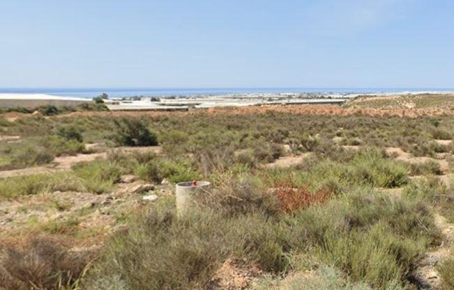 Fincas y solares-Venta-Viator-1866053-Foto-4