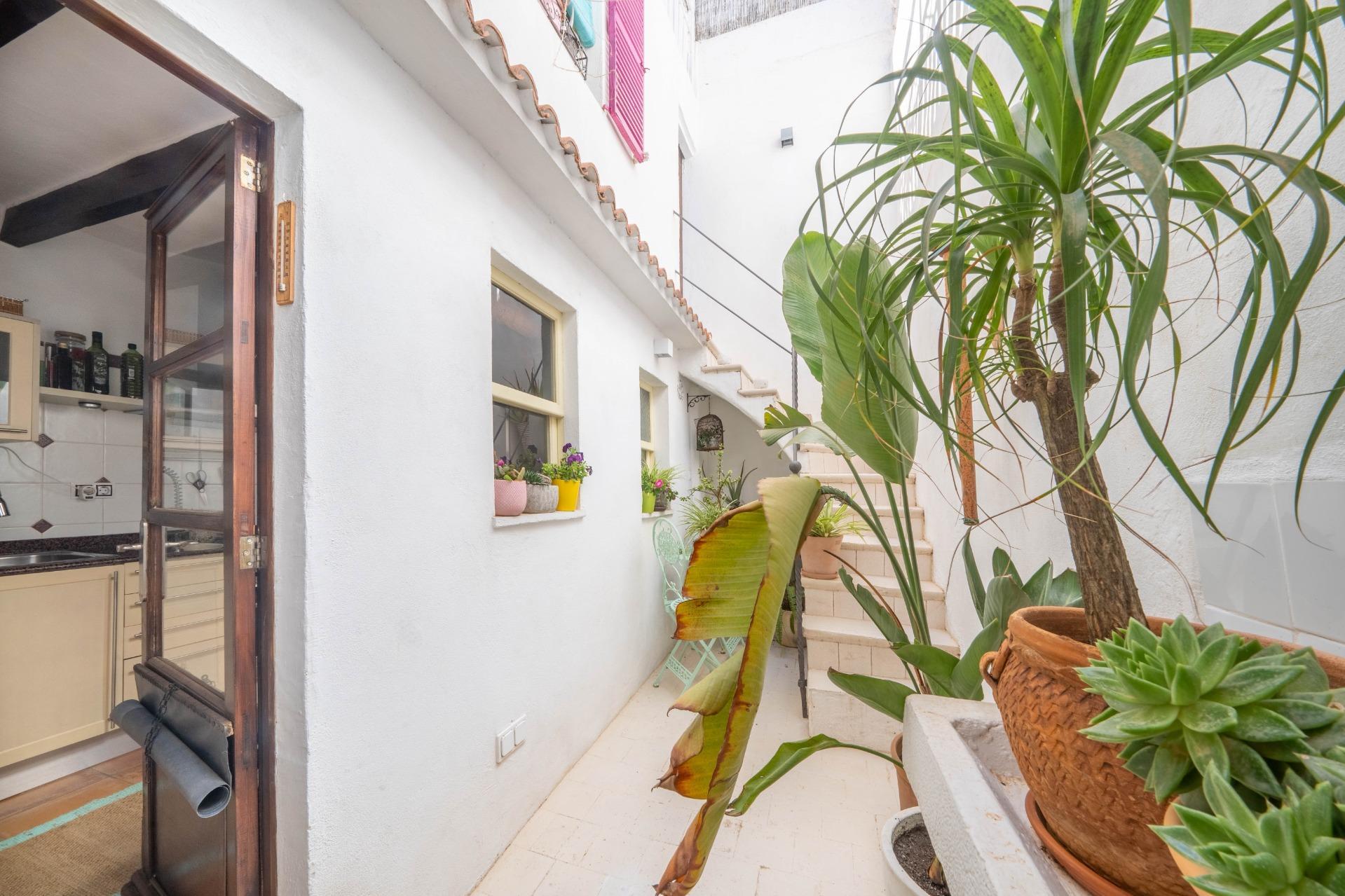 Casas o chalets-Venta-Andratx-1866472-Foto-8