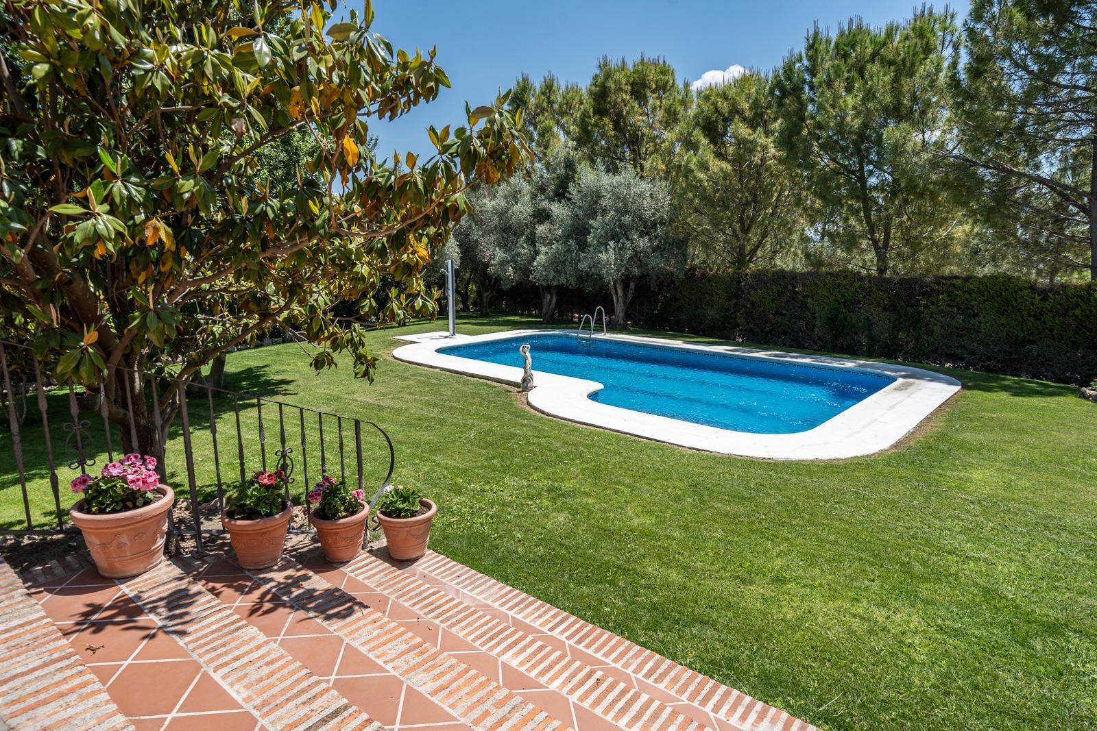Pisos-Venta-ChinchÃ³n-1734244-Foto-3