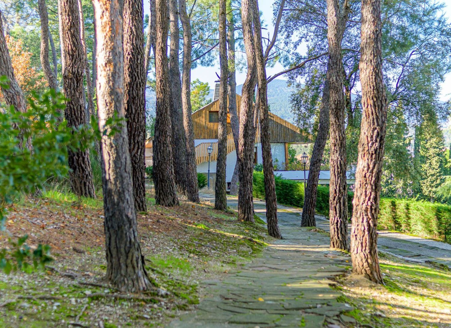 Pisos-Venta-Guadarrama-1021045-Foto-45
