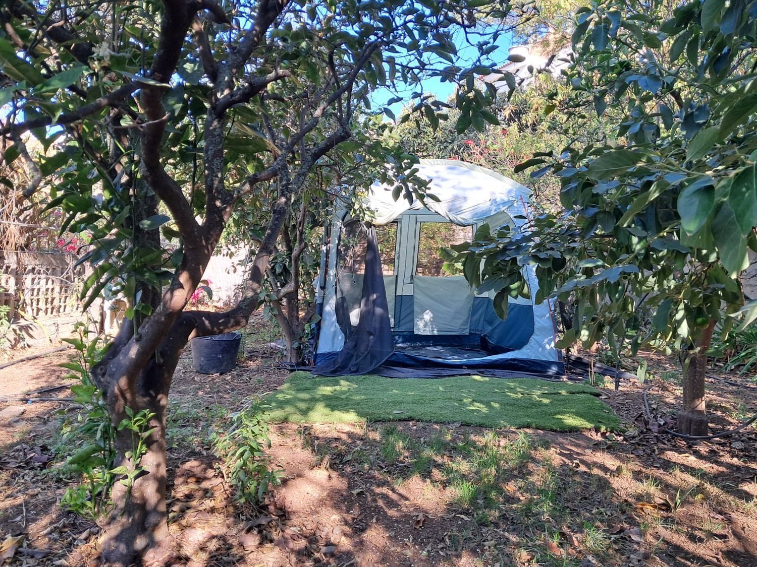 Casas o chalets-Alquiler-Santa BrÃ­gida-1507390-Foto-9