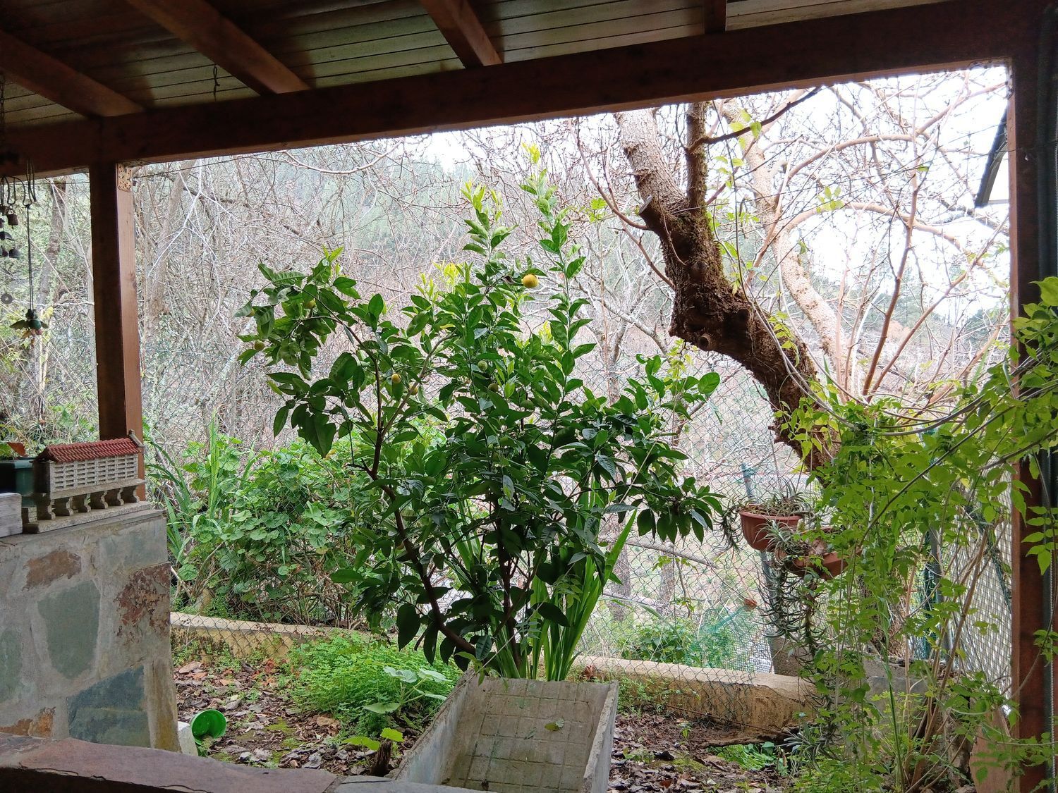 Casas o chalets-Venta-Valleseco-1865017-Foto-23