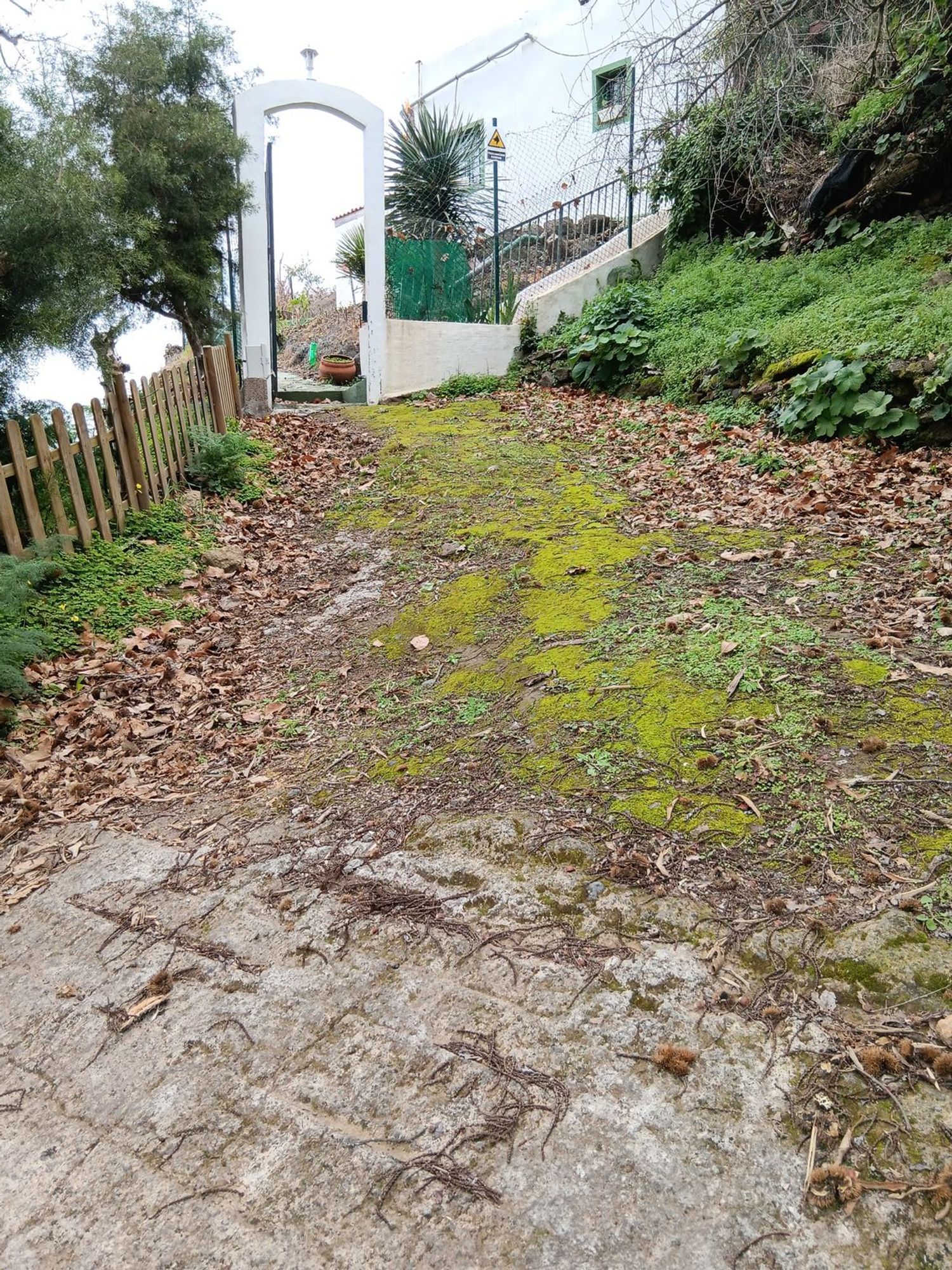 Casas o chalets-Venta-Valleseco-1865017-Foto-27