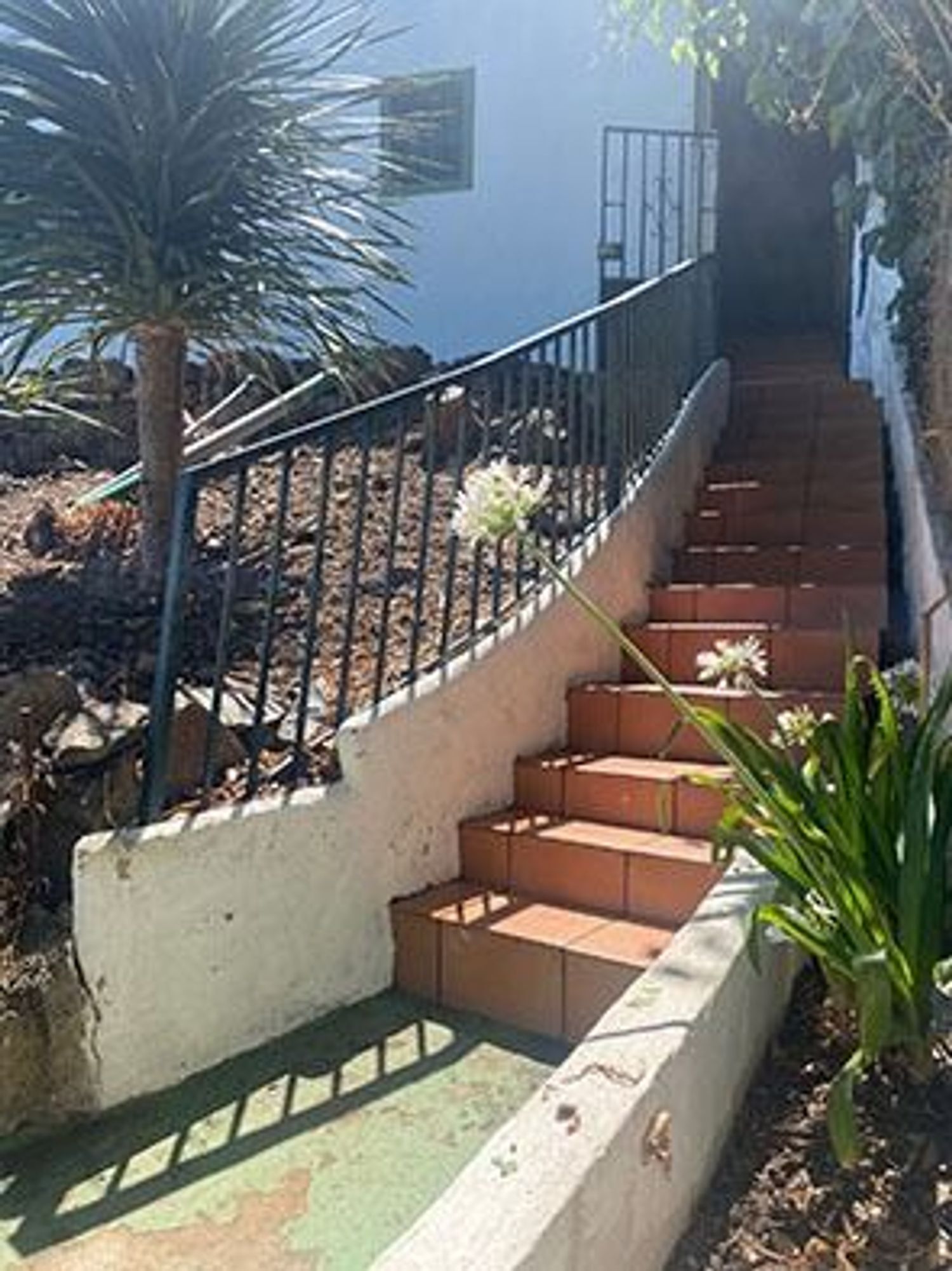Casas o chalets-Venta-Valleseco-1865017-Foto-28