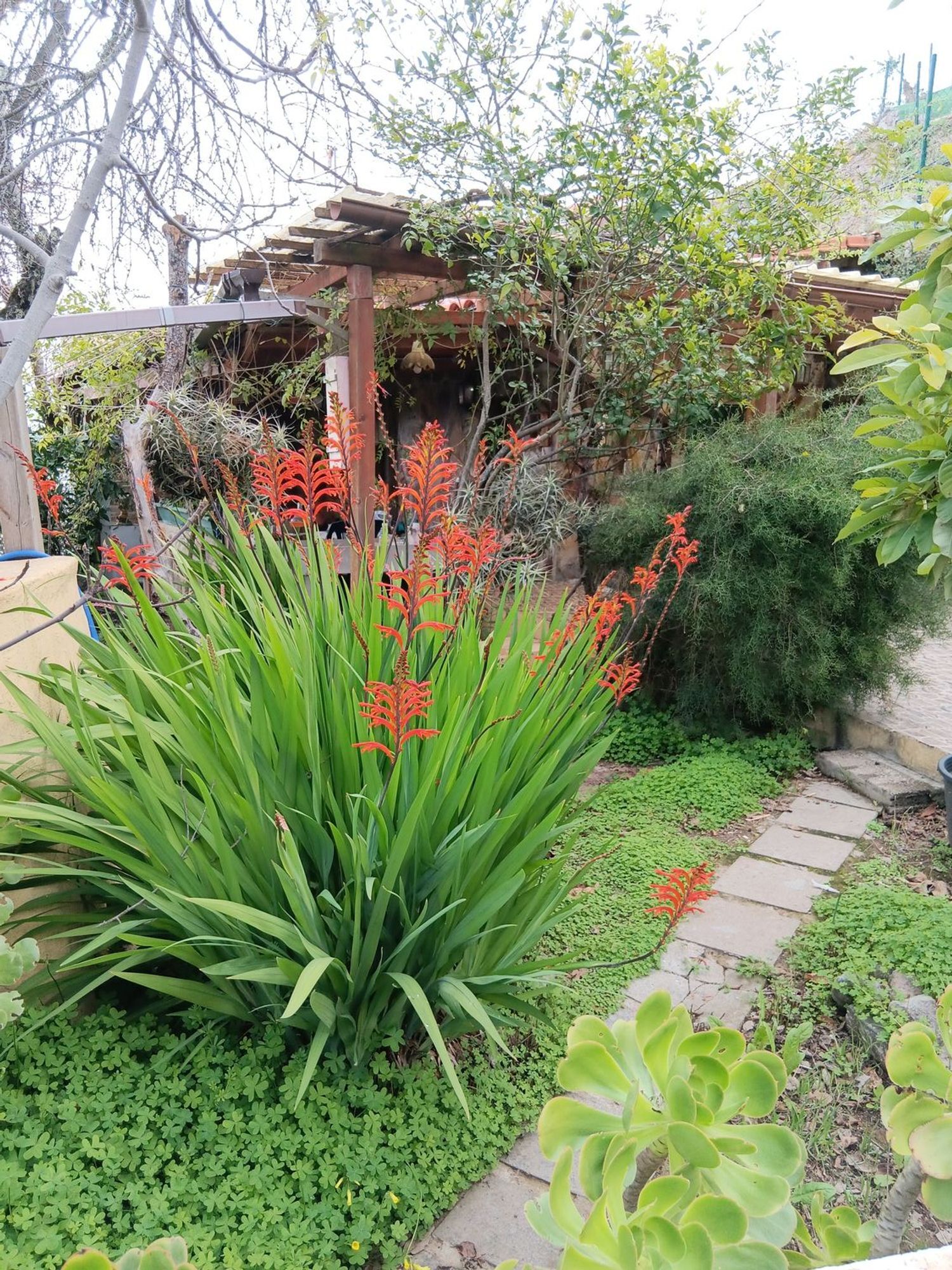 Casas o chalets-Venta-Valleseco-1865017-Foto-30