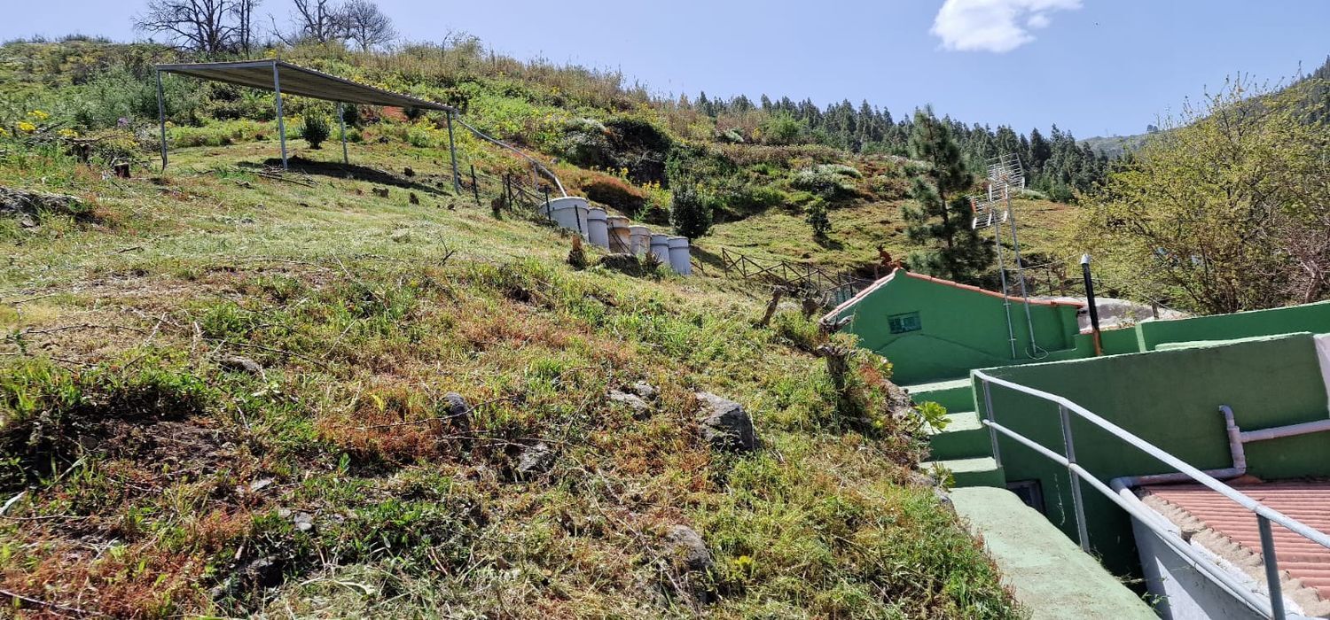 Casas o chalets-Venta-Valleseco-1865017-Foto-35