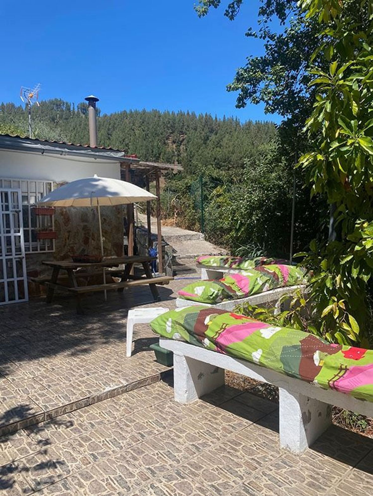 Casas o chalets-Venta-Valleseco-1865017-Foto-42