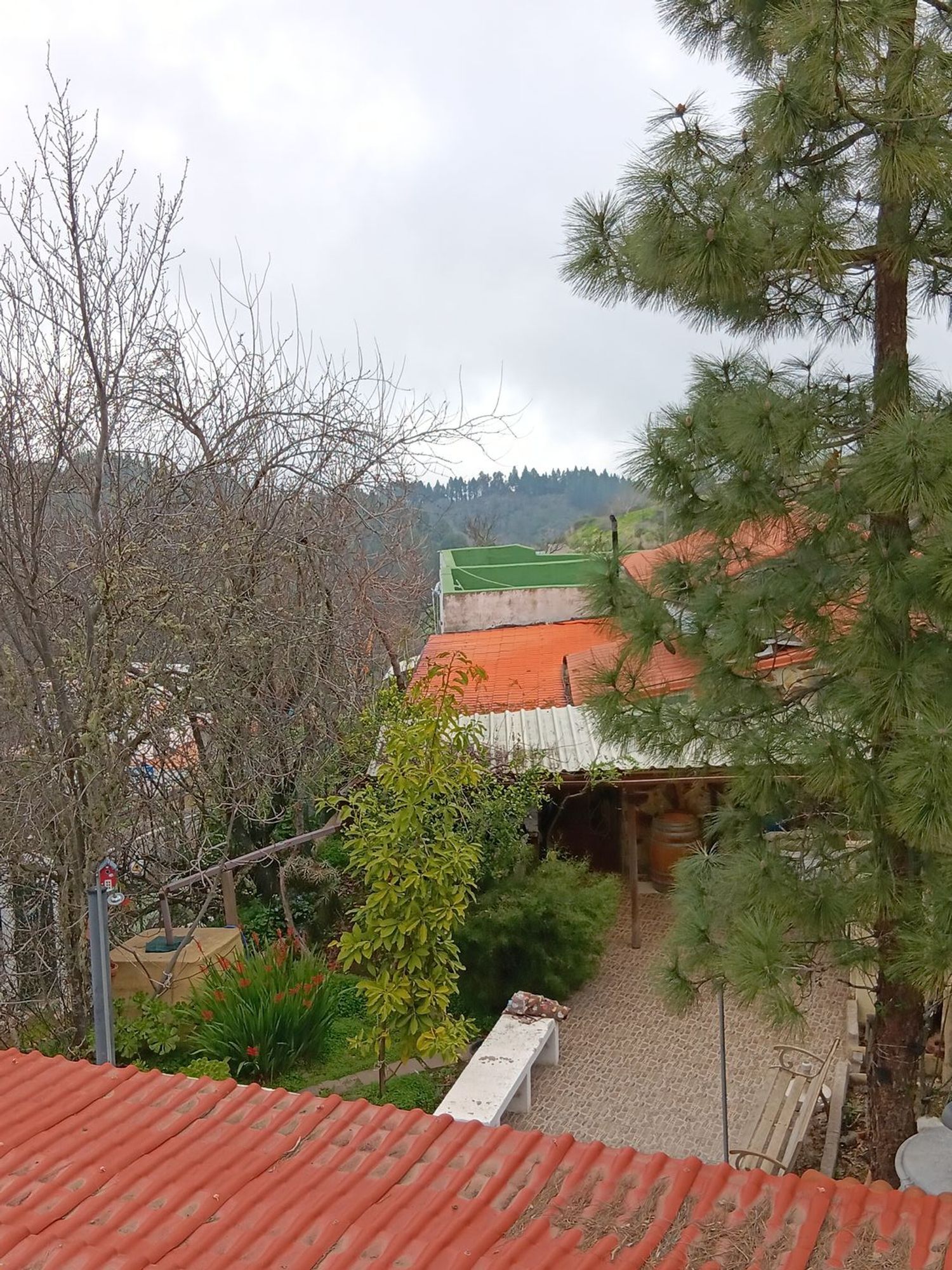 Casas o chalets-Venta-Valleseco-1865017-Foto-43