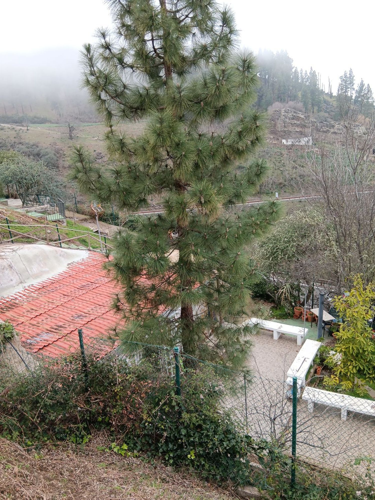 Casas o chalets-Venta-Valleseco-1865017-Foto-45