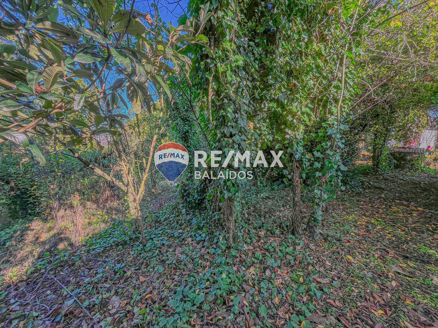 Propiedad en venta en Pontevedra, Vigo